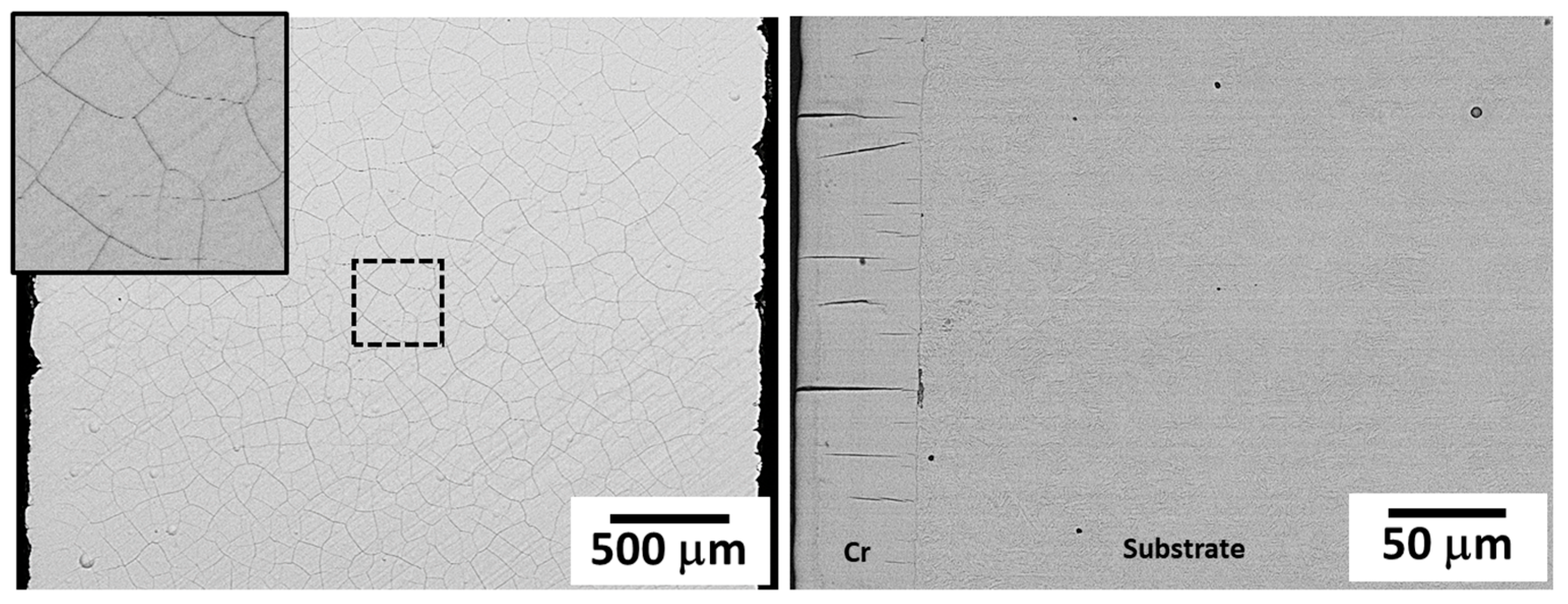 Coatings 13 01194 g001