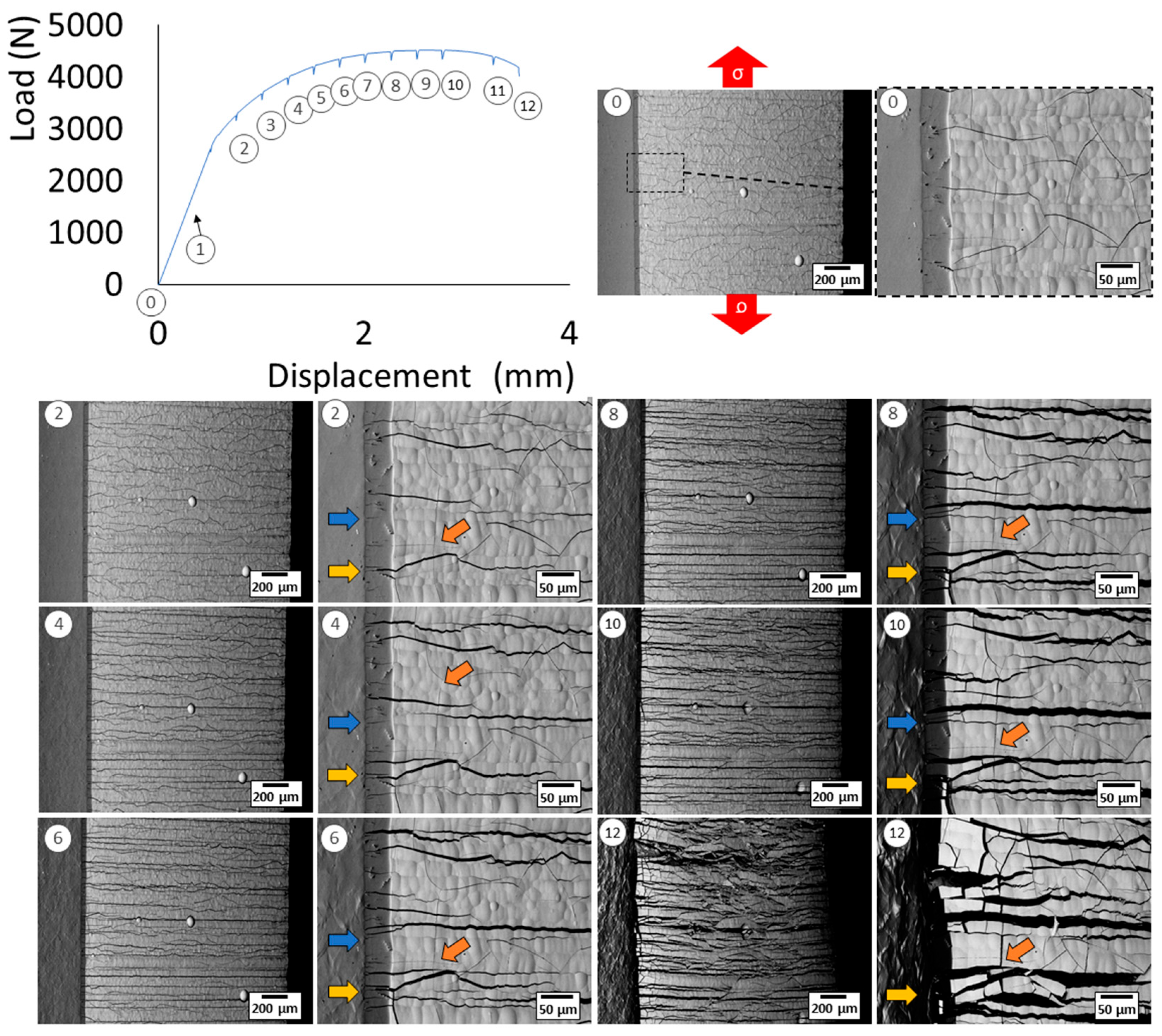 Coatings 13 01194 g009