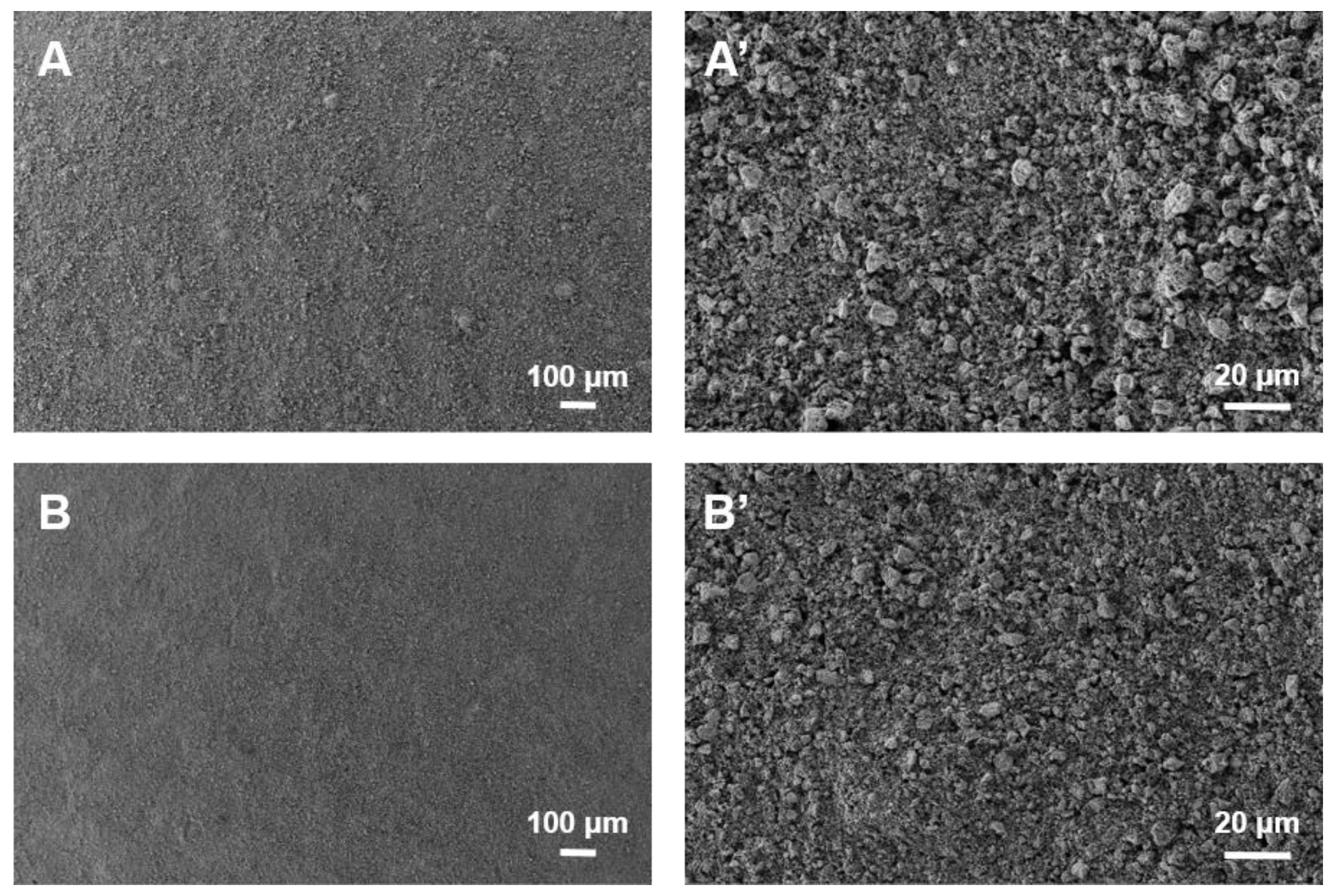 Coatings 13 01214 g003 Coatings 13 01214 g003