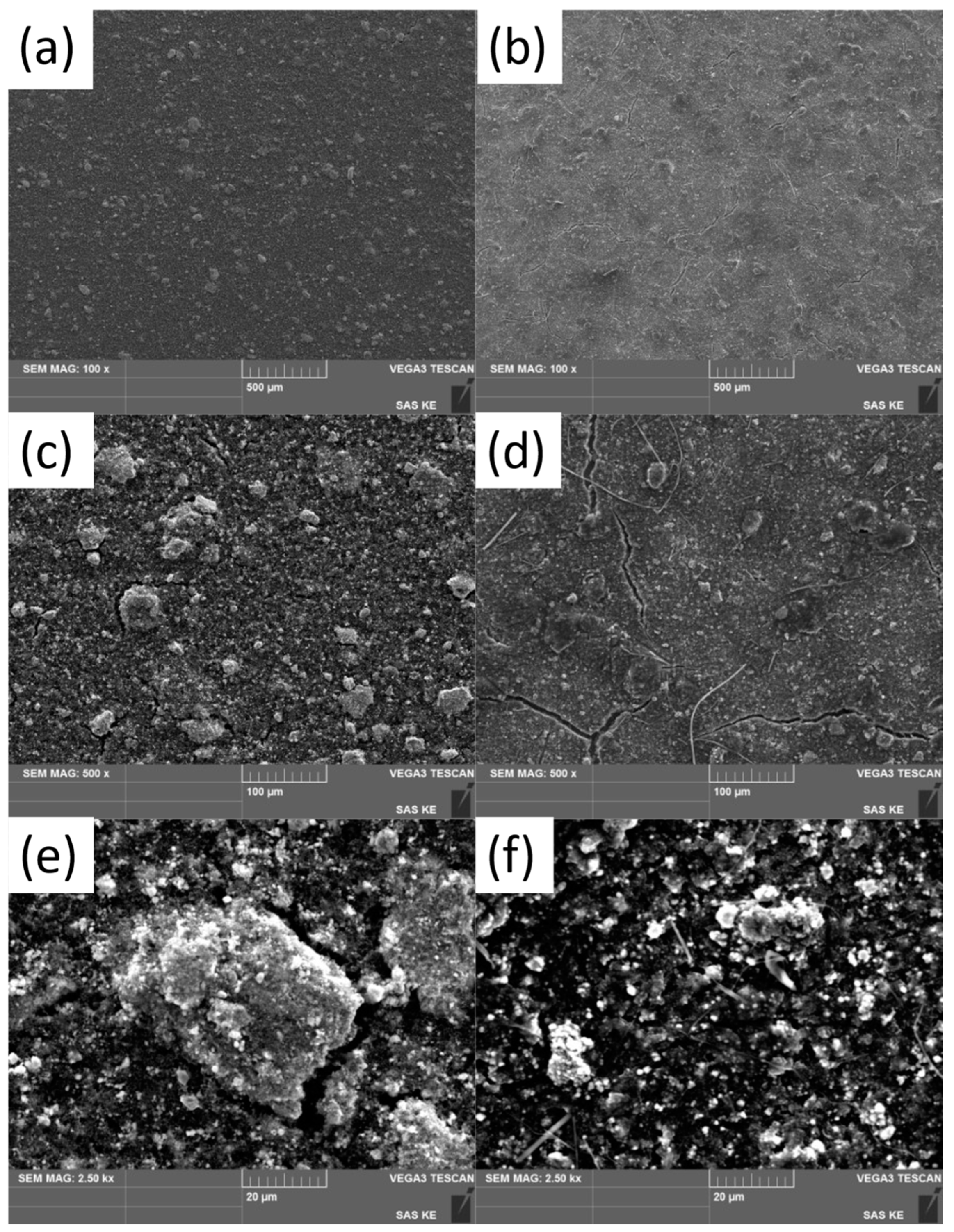 Coatings 13 01219 g004