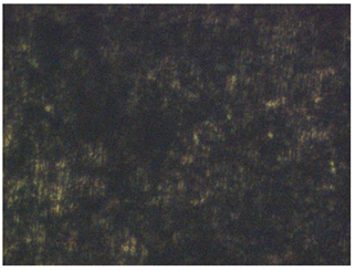 Coatings 13 01221 i003 Coatings 13 01221 i003