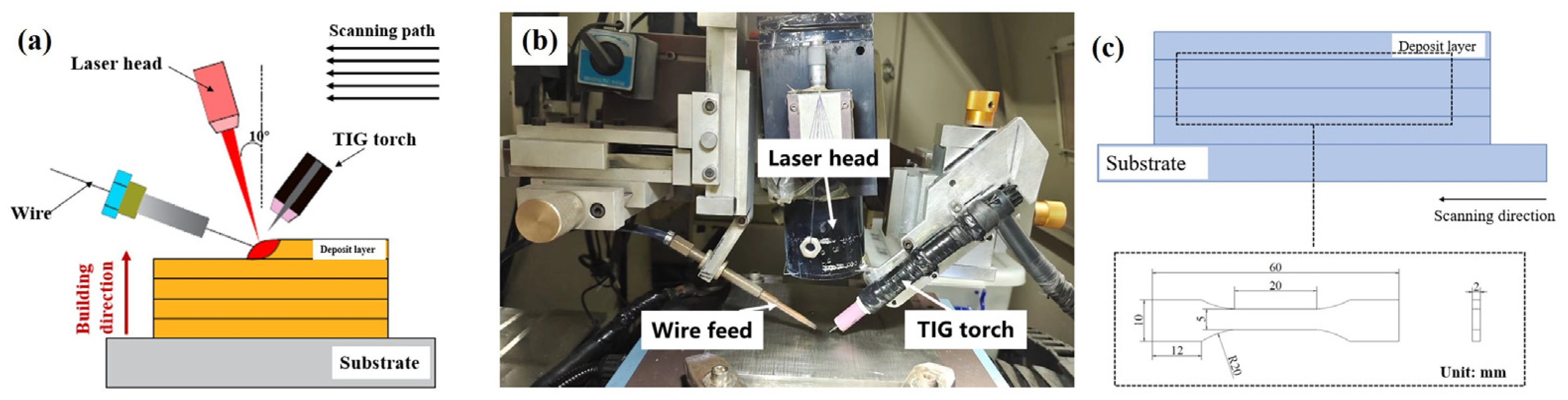 Coatings 13 01228 g001