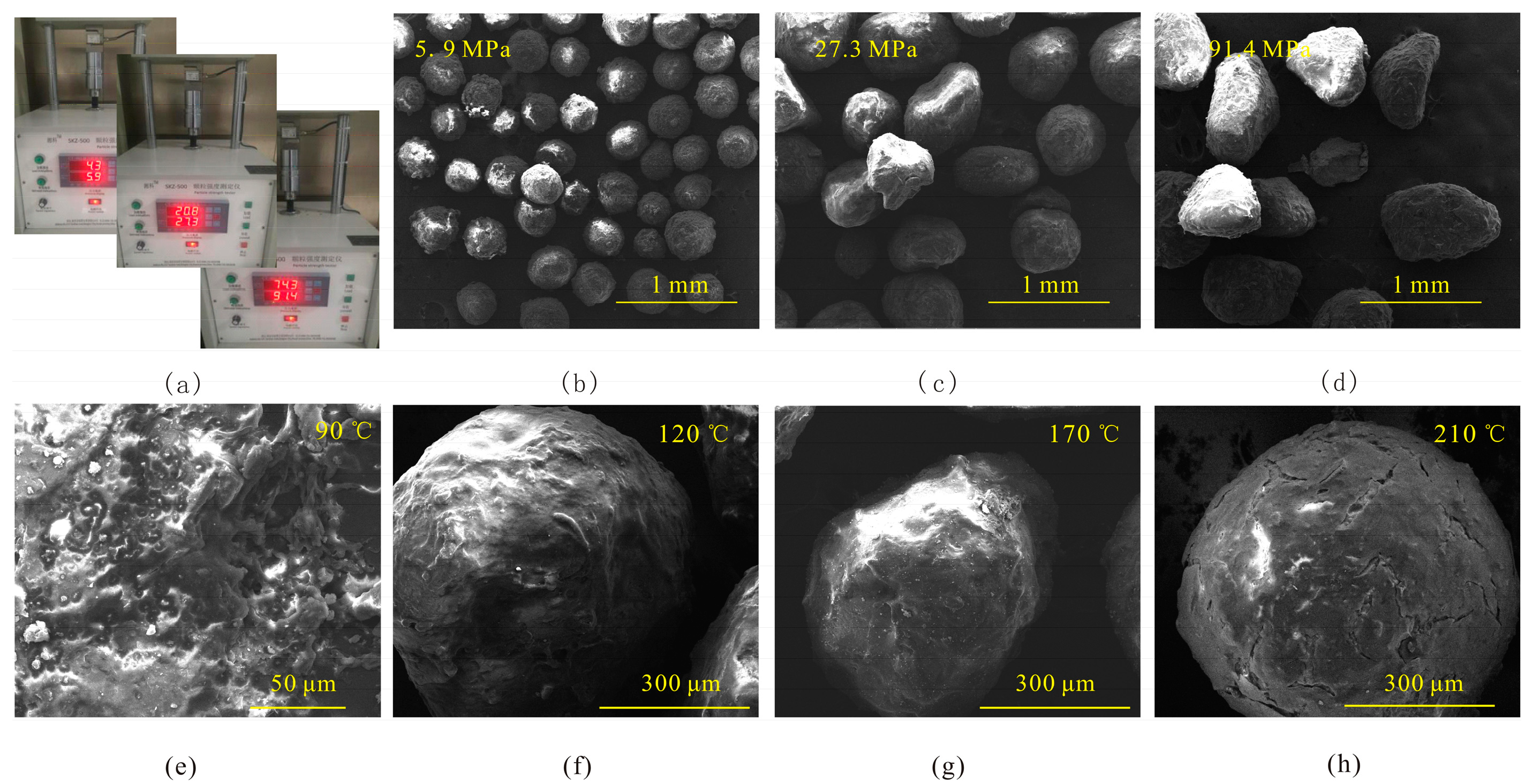 Coatings 13 01238 g005
