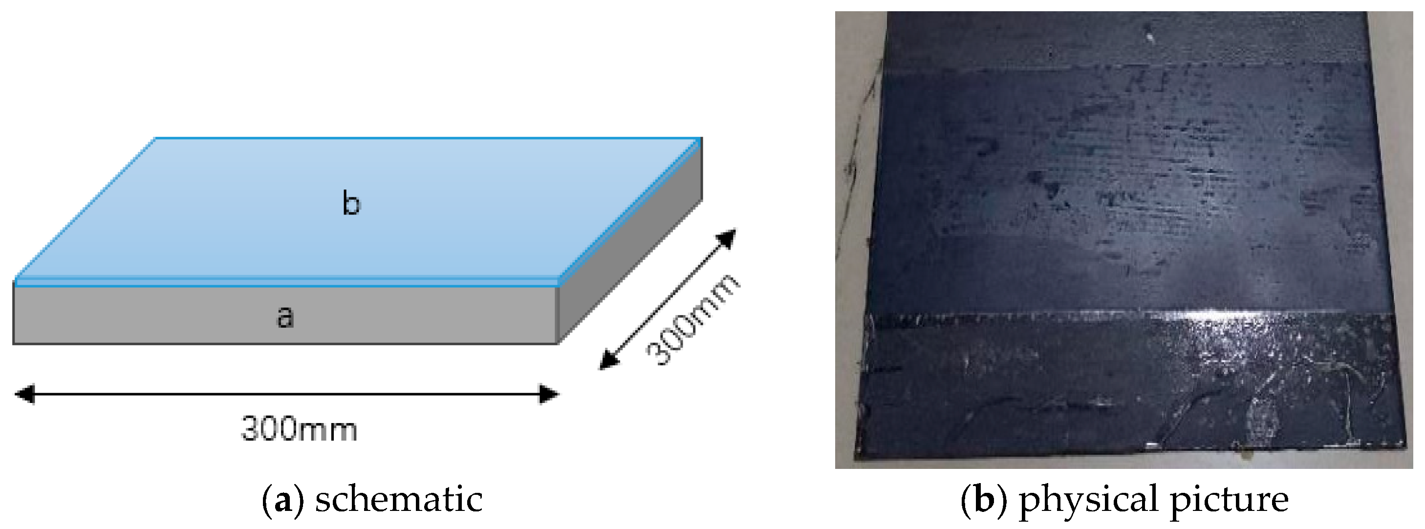 Coatings 13 01239 g010
