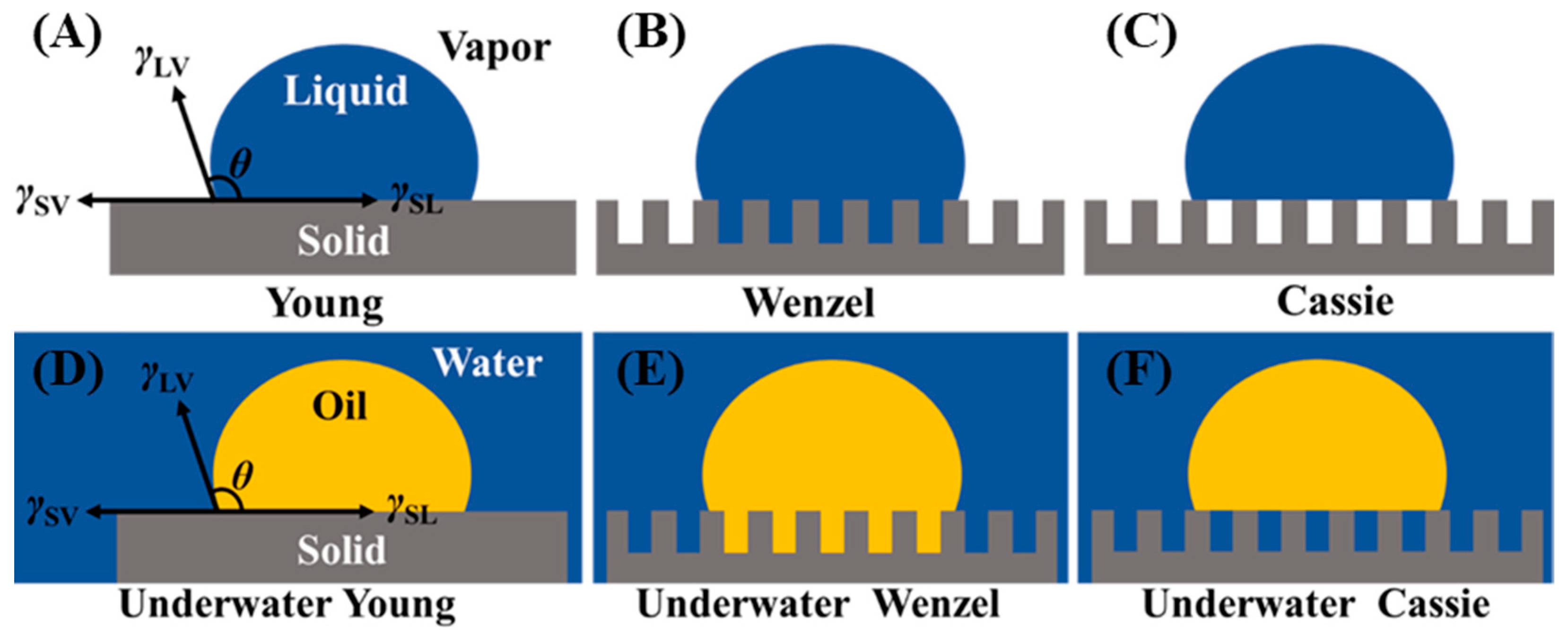 Coatings 13 01241 g002