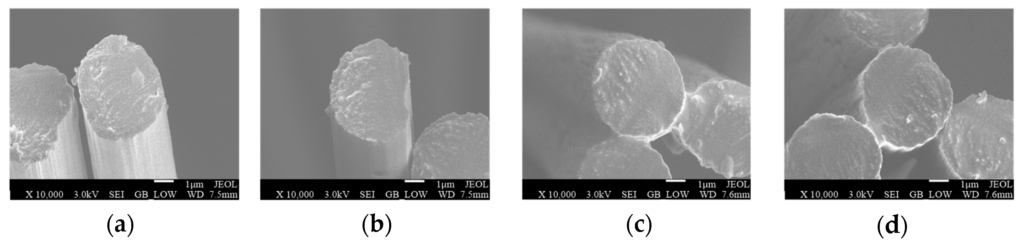 Coatings 13 01259 g004
