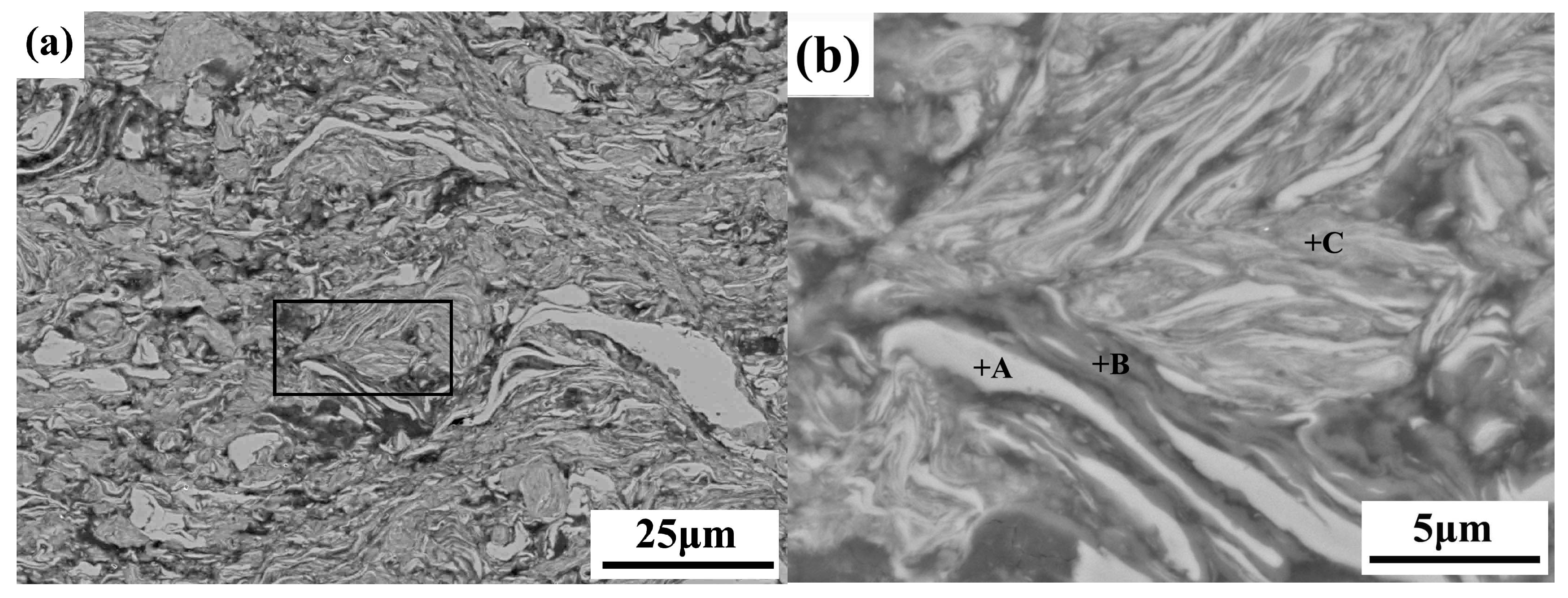Coatings 13 01260 g002 Coatings 13 01260 g002
