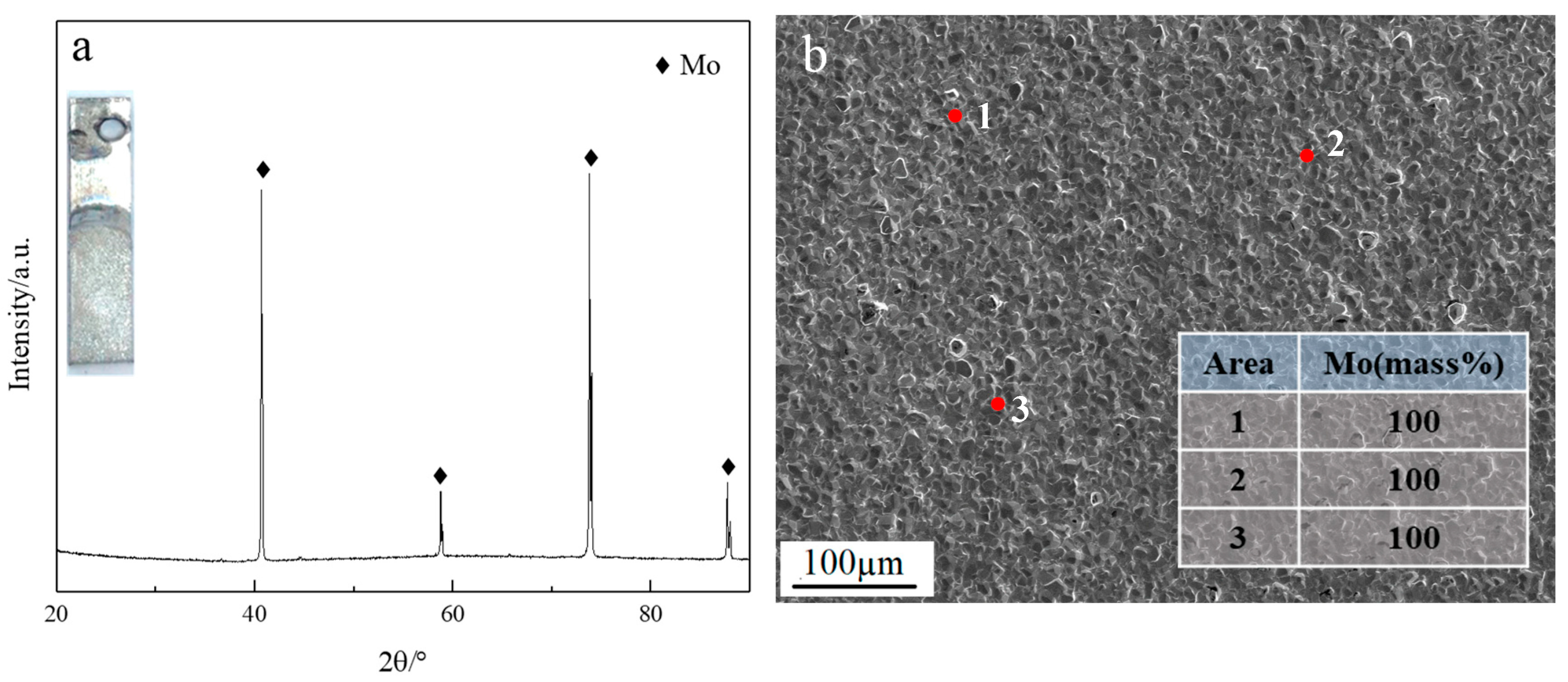 Coatings 13 01266 g002