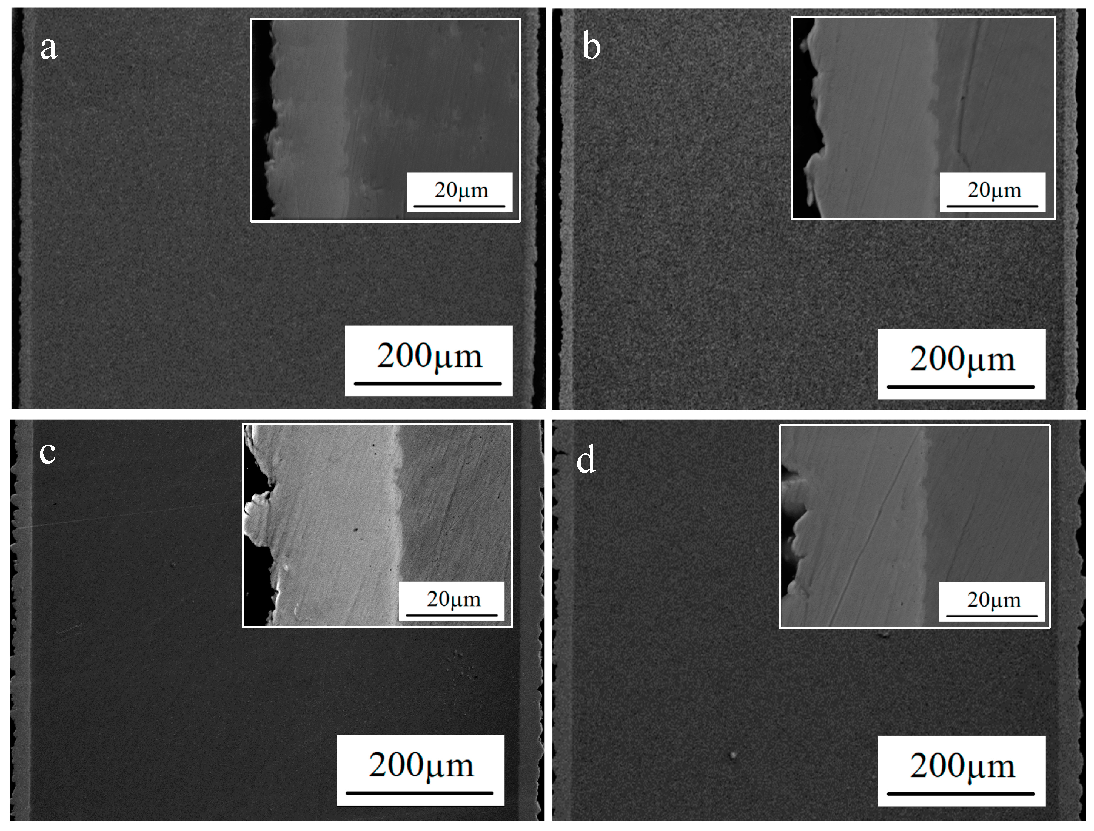 Coatings 13 01266 g004