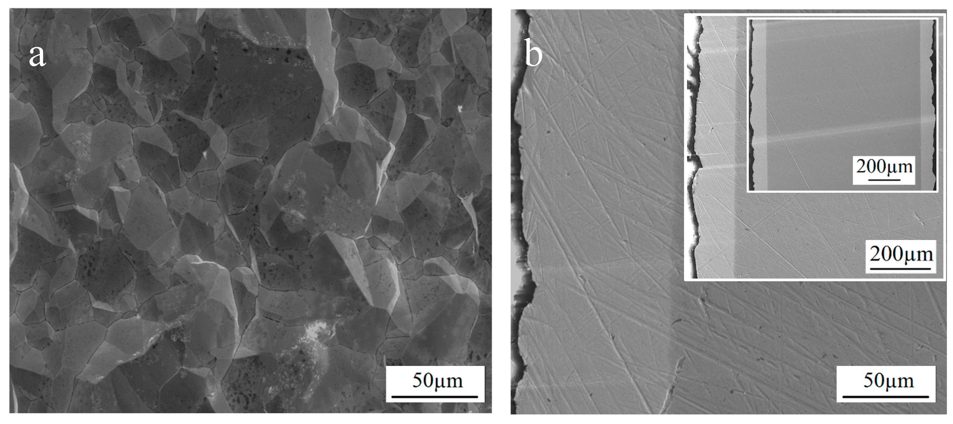 Coatings 13 01266 g008