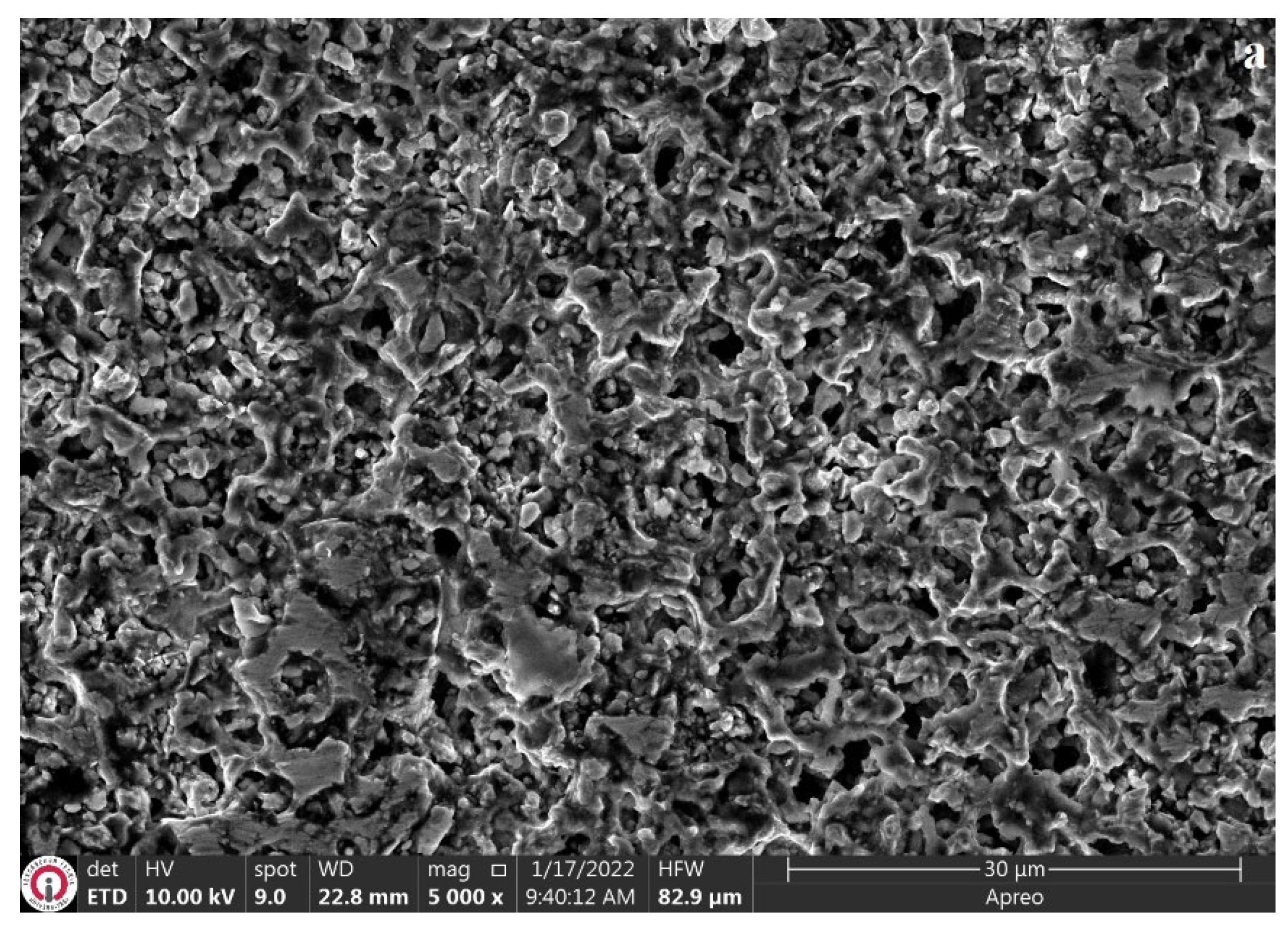 Coatings 13 01272 g006a