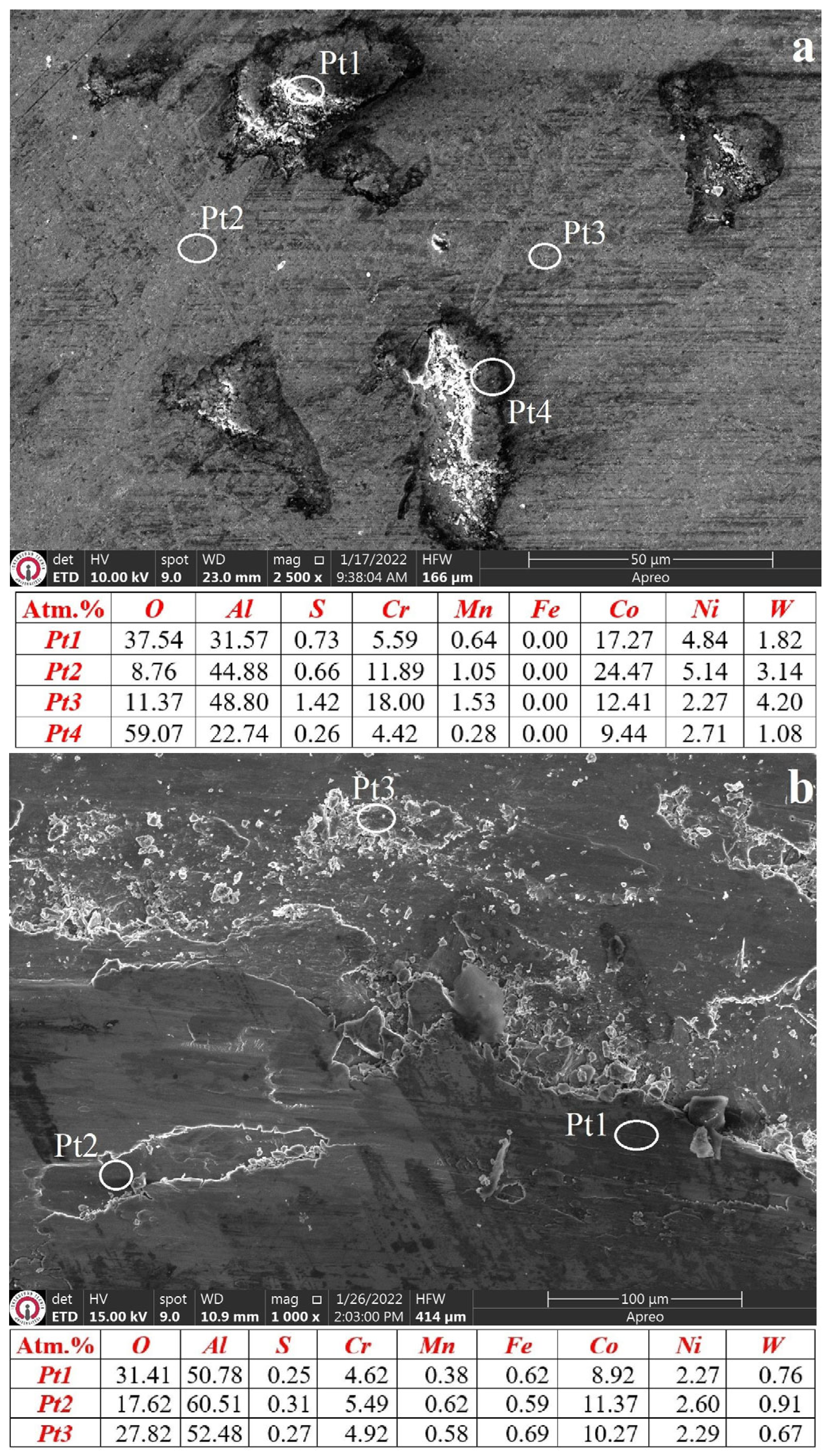 Coatings 13 01272 g009