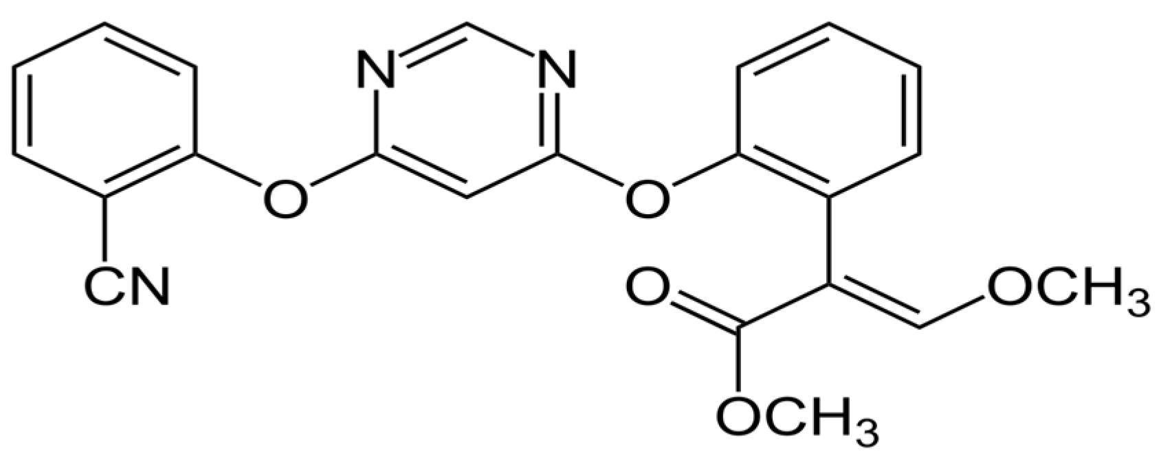 Coatings 13 01286 g001