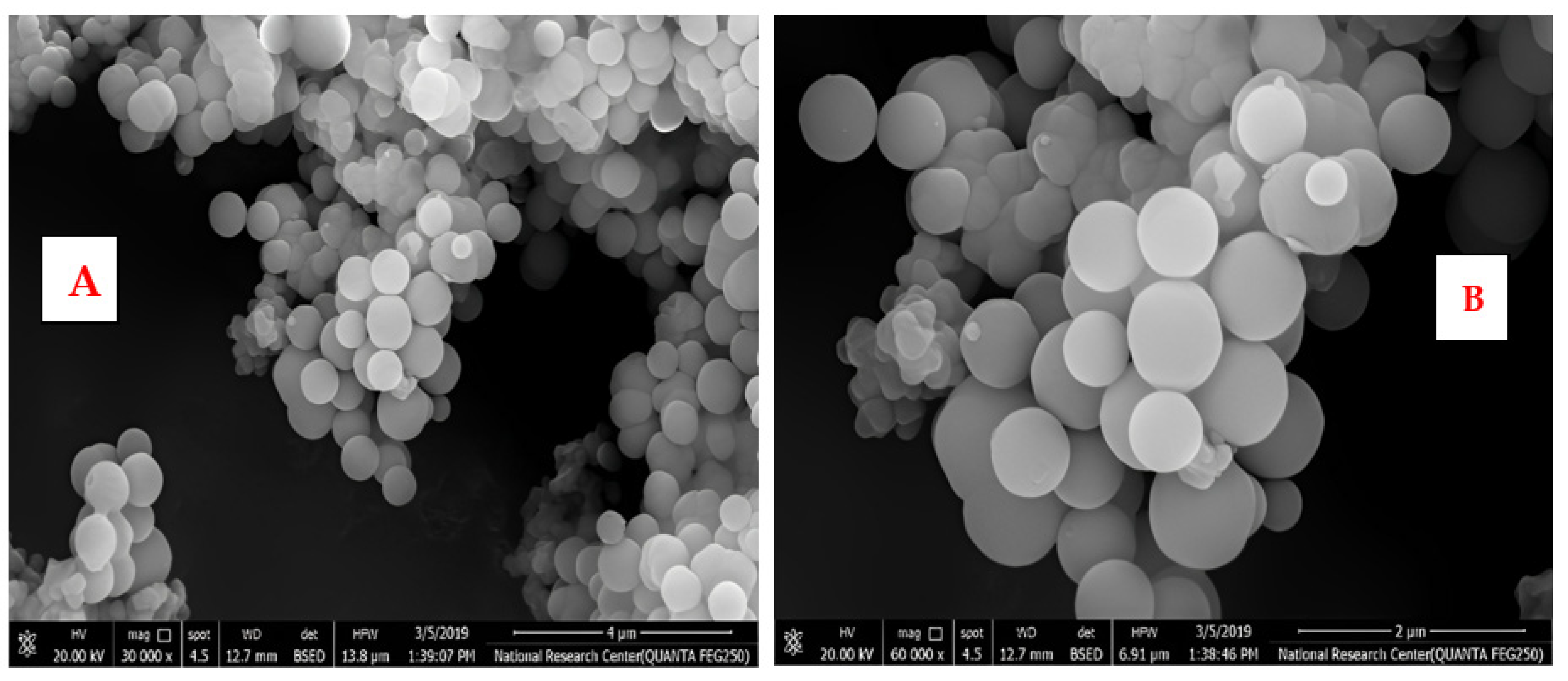 Coatings 13 01286 g004