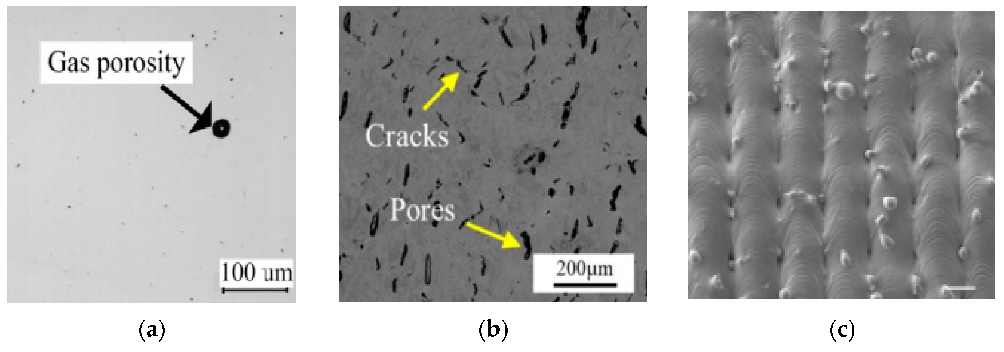 Inclusions and Segregations in the Selective Laser-Melted Alloys: A Review