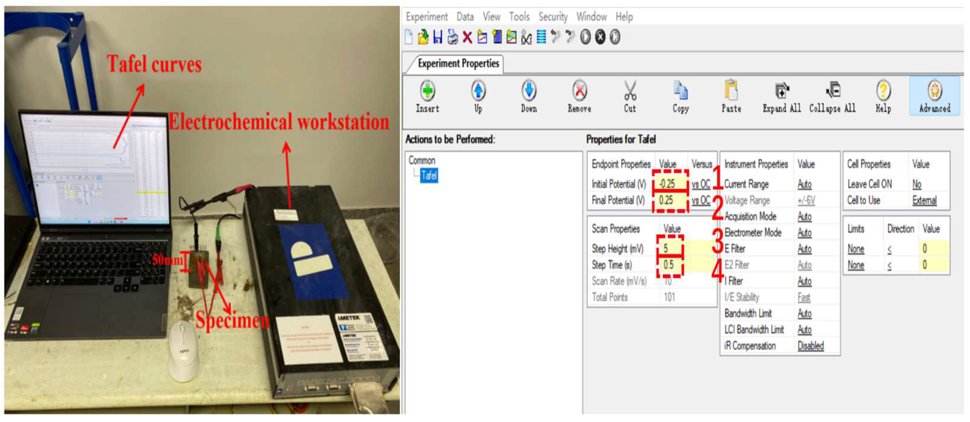 Coatings 13 01308 g005