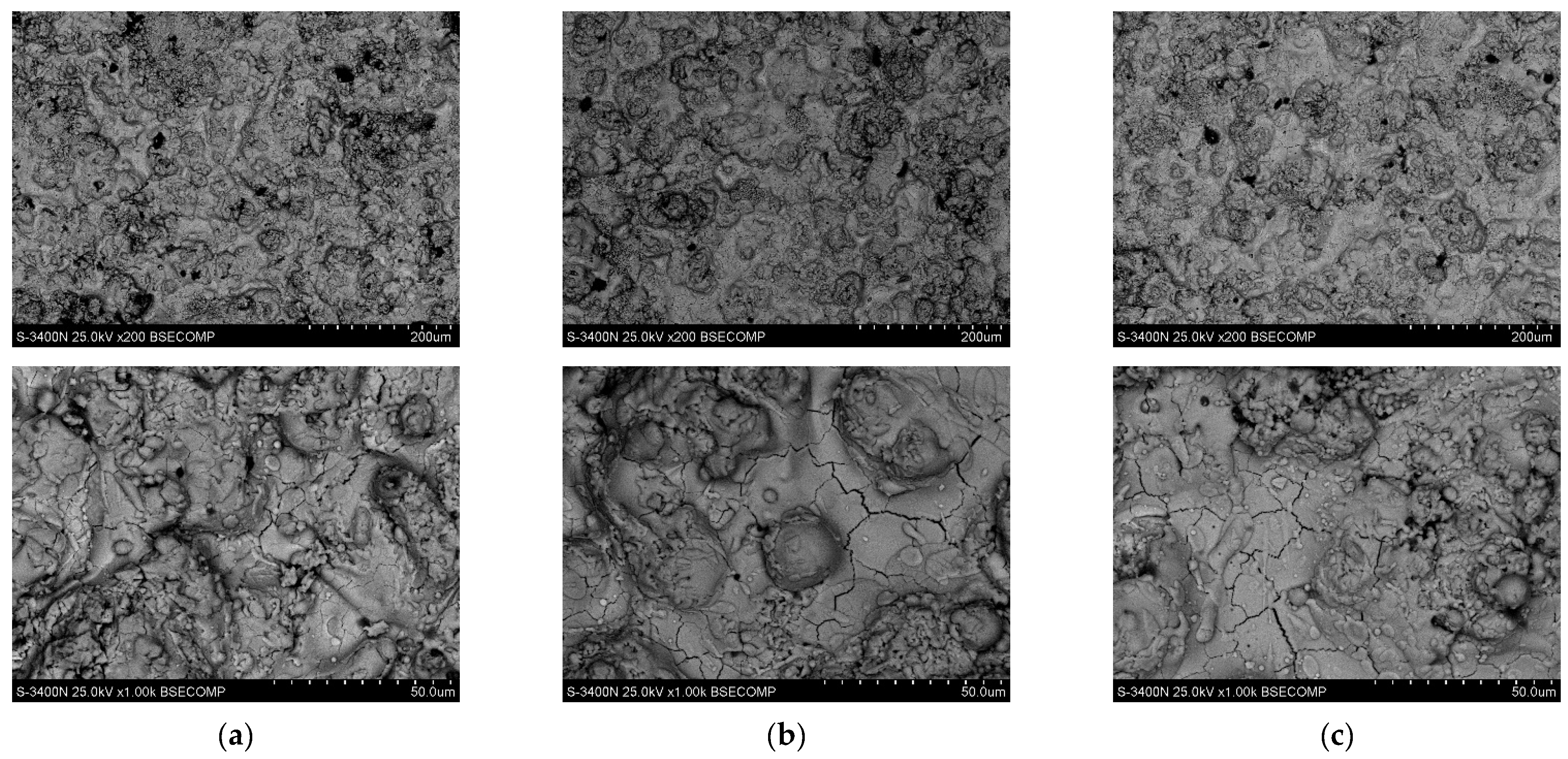 Coatings 13 01311 g003 Coatings 13 01311 g003