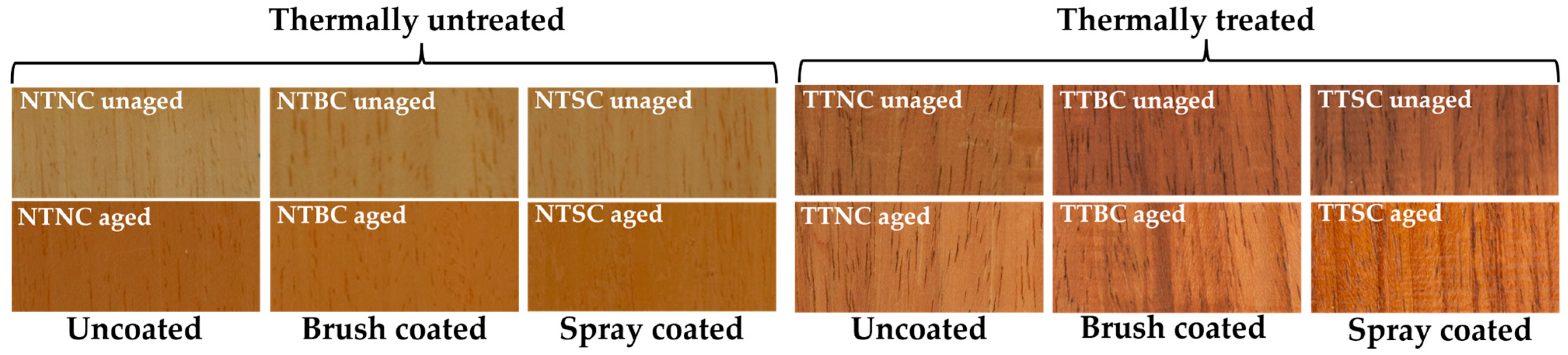 Coatings 13 01312 g001