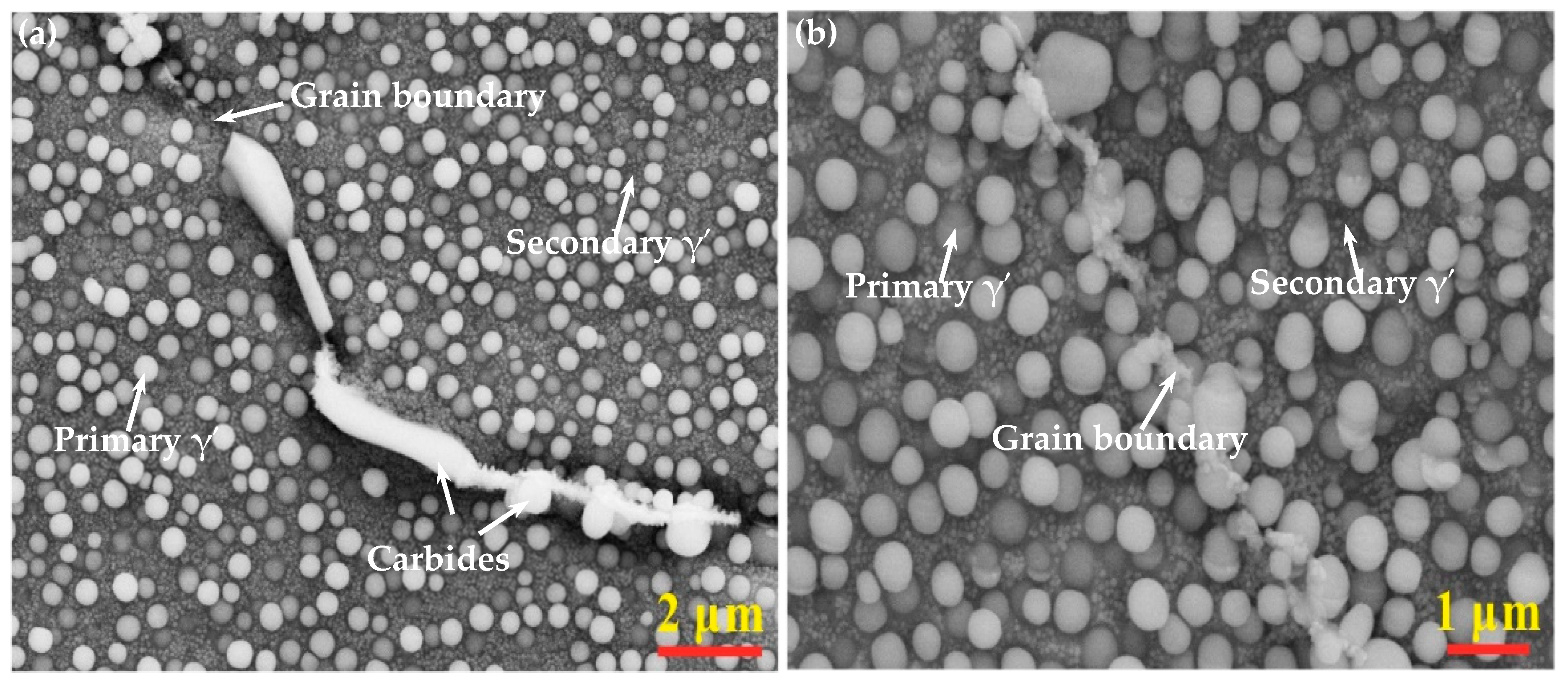 Coatings 13 01325 g001