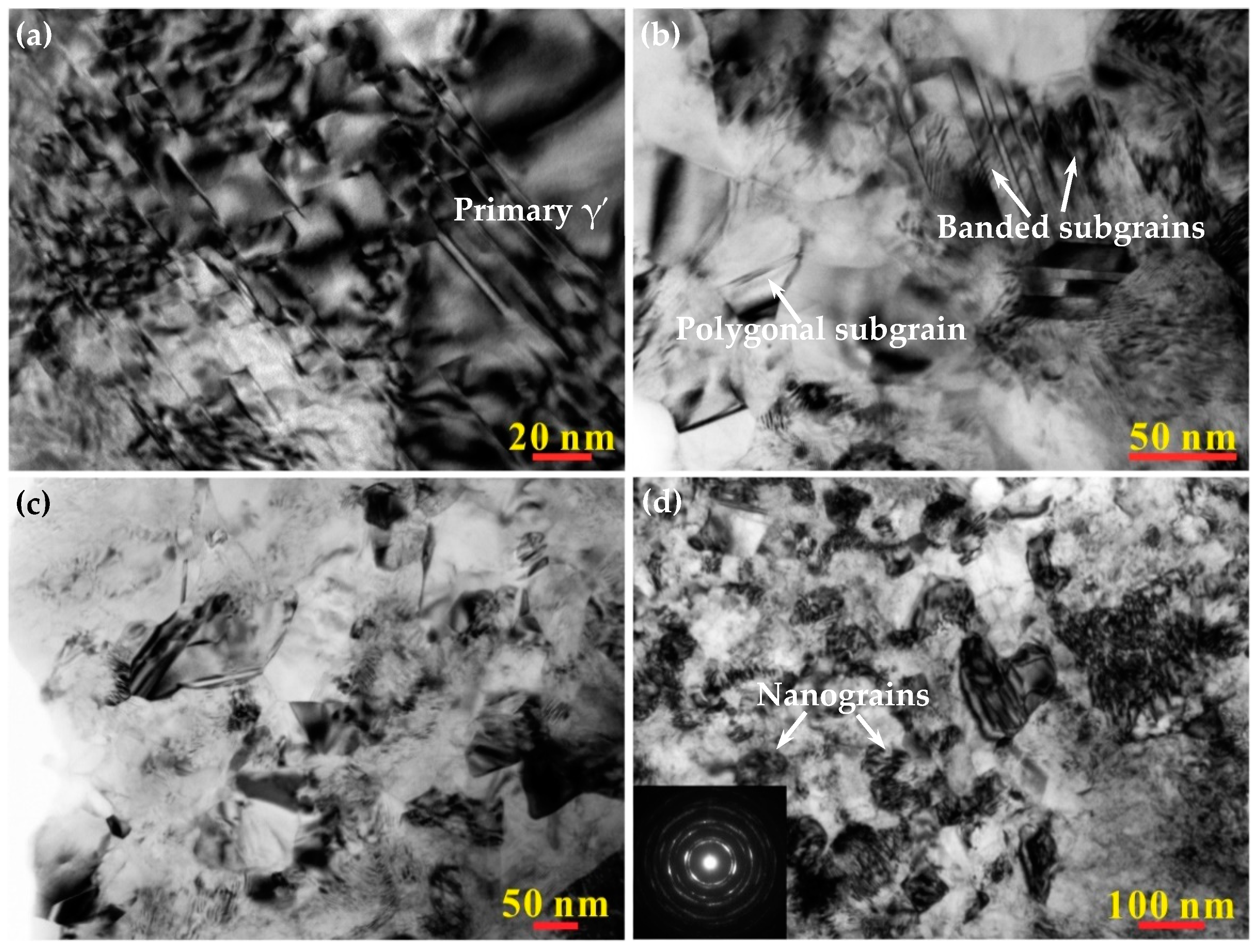 Coatings 13 01325 g004