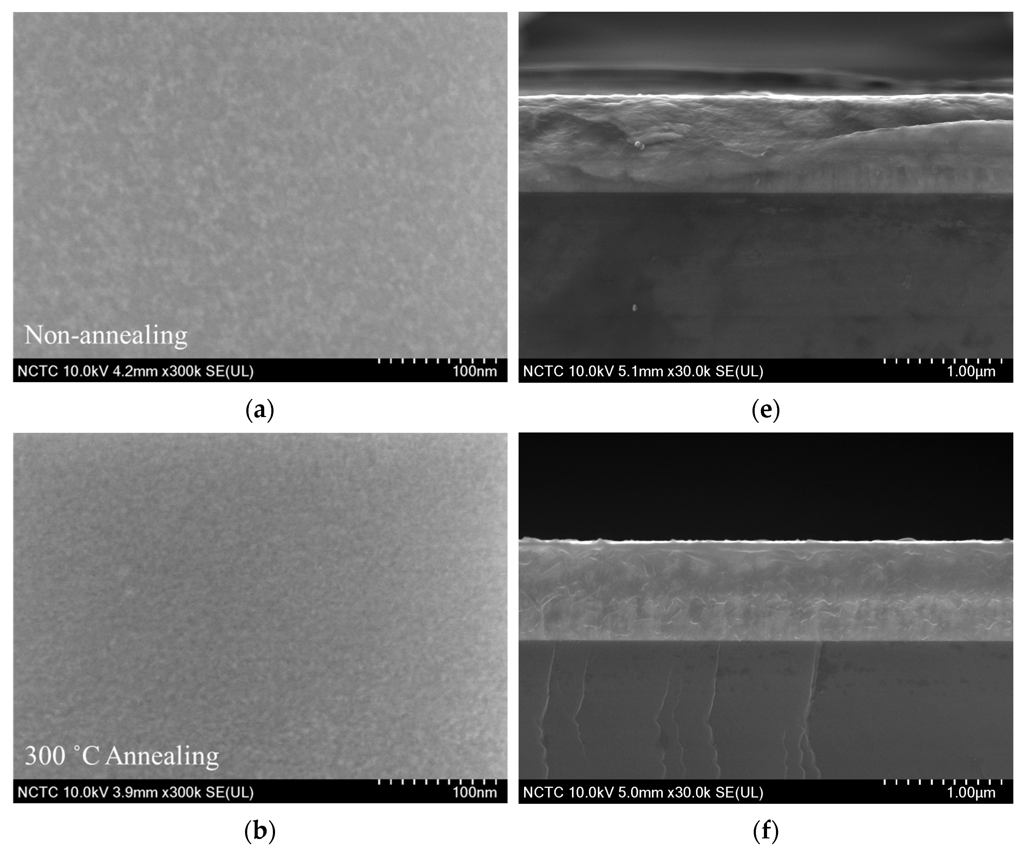 Coatings 13 01328 g003a