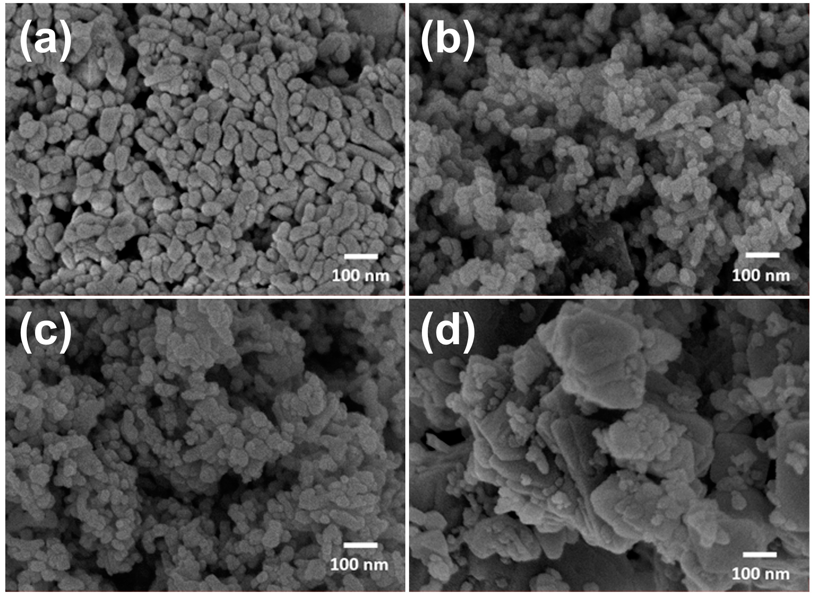 Coatings 13 01329 g006 Coatings 13 01329 g006