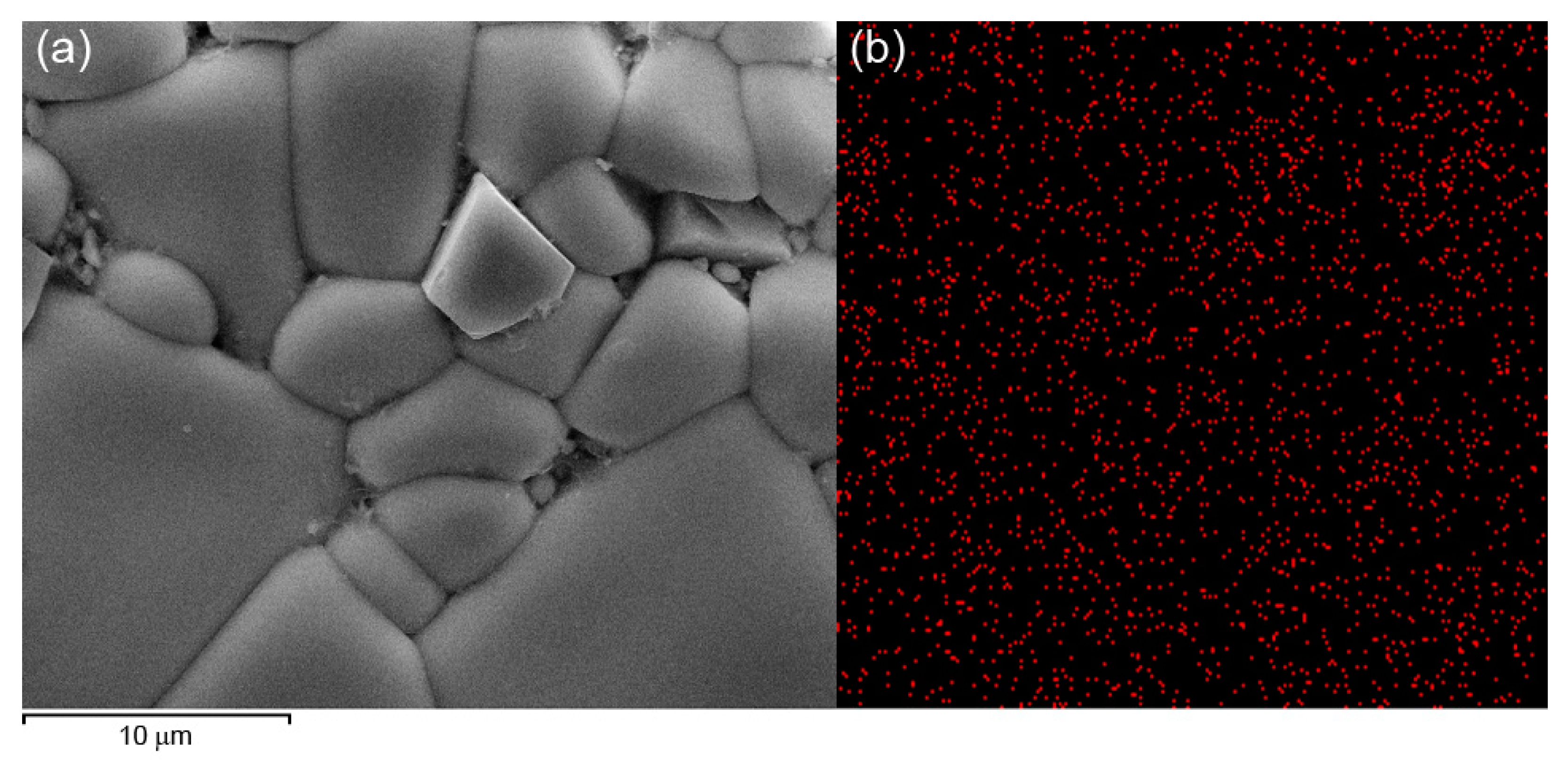 Coatings 13 01331 g003