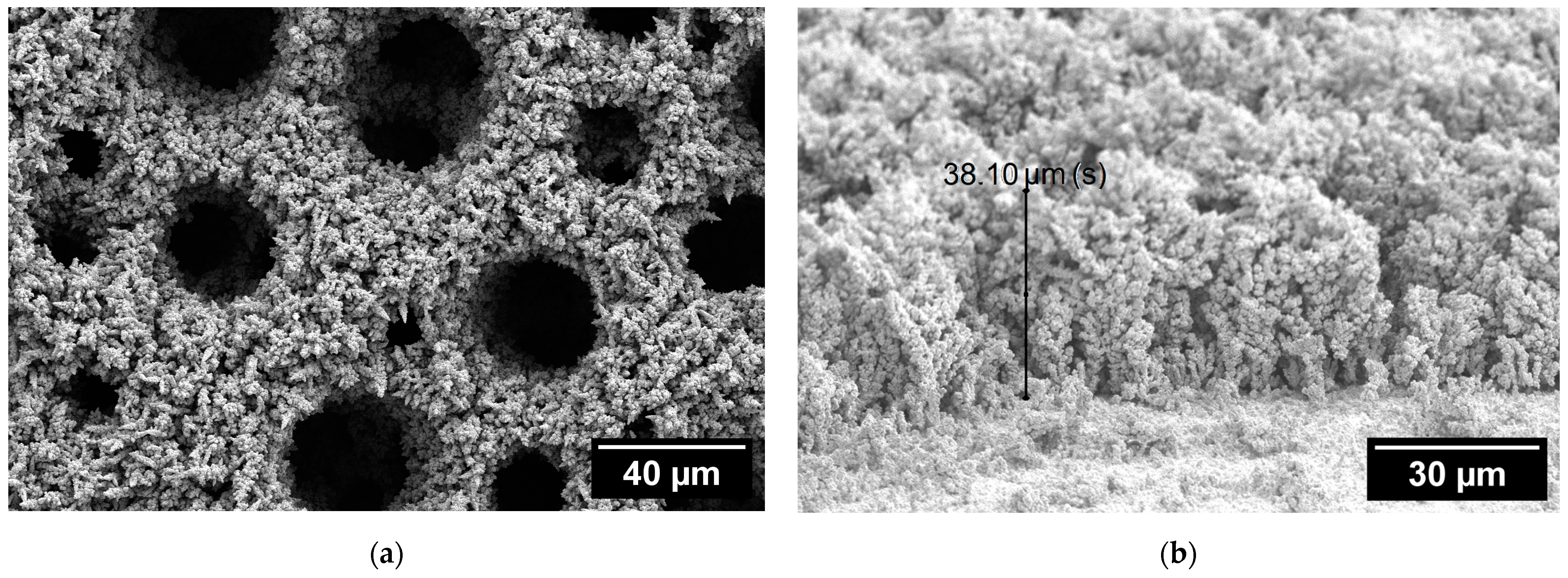 Coatings 13 01335 g002