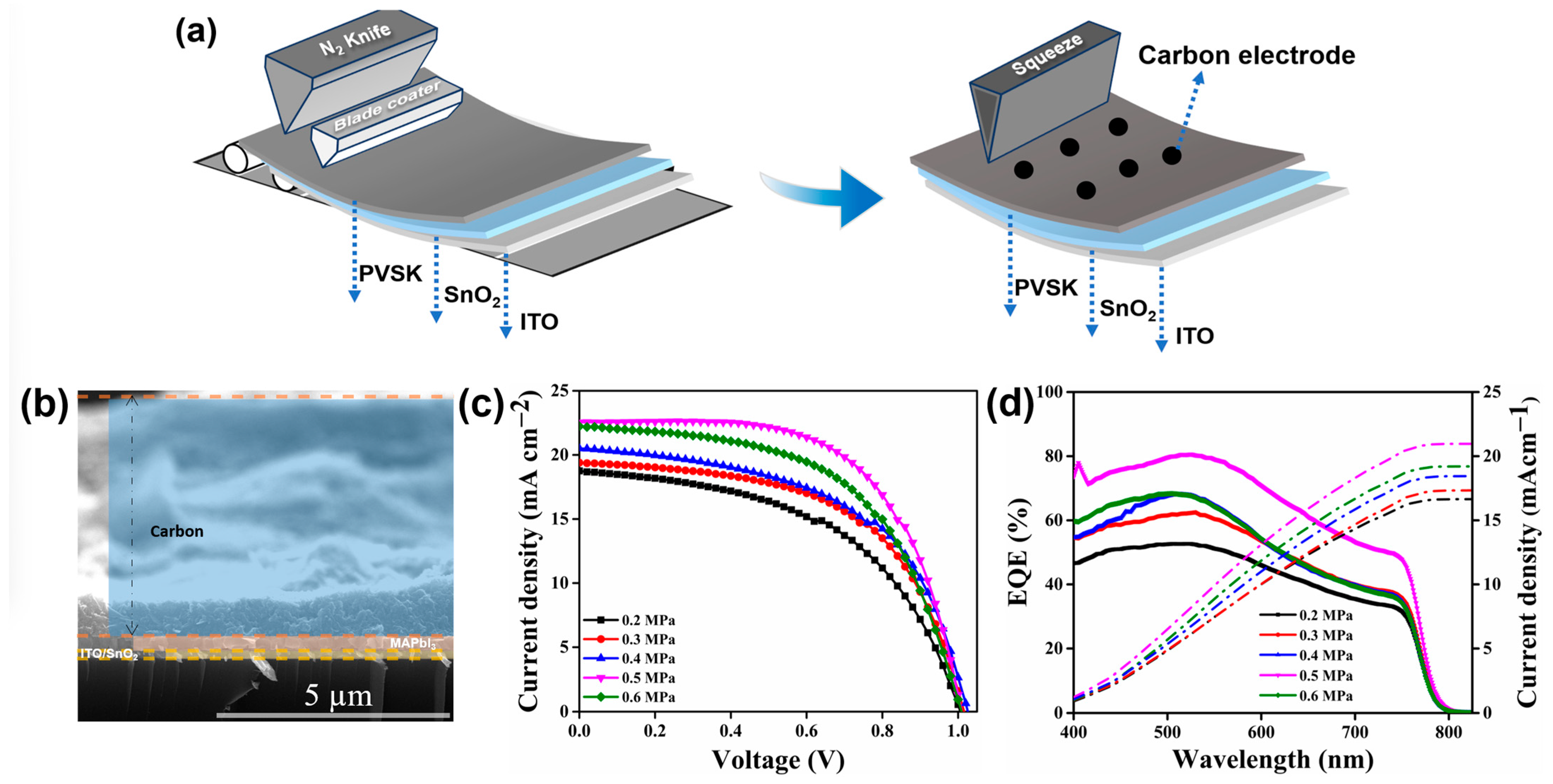 Coatings 13 01338 g005 Coatings 13 01338 g005