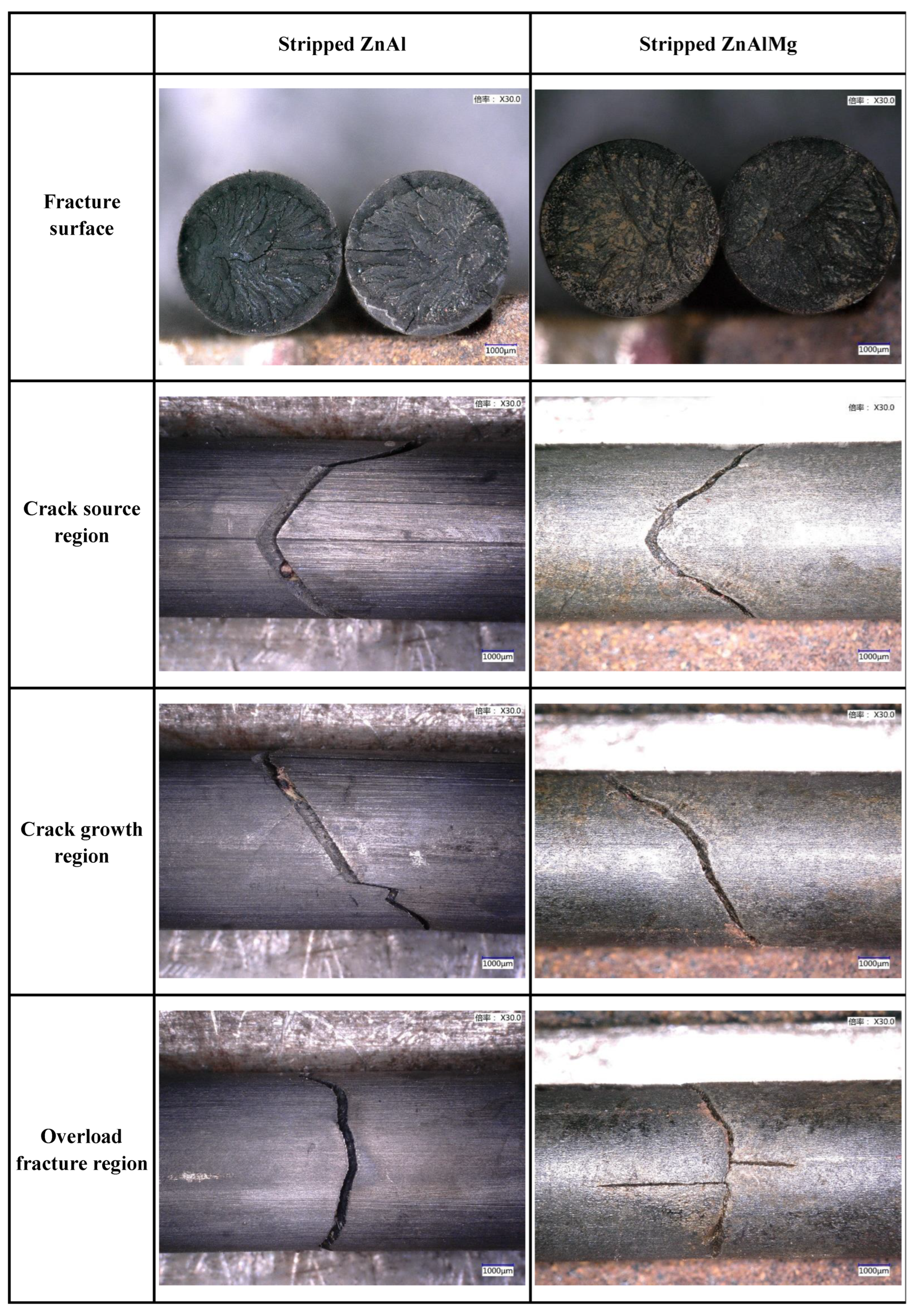 Coatings 13 01339 g006 Coatings 13 01339 g006