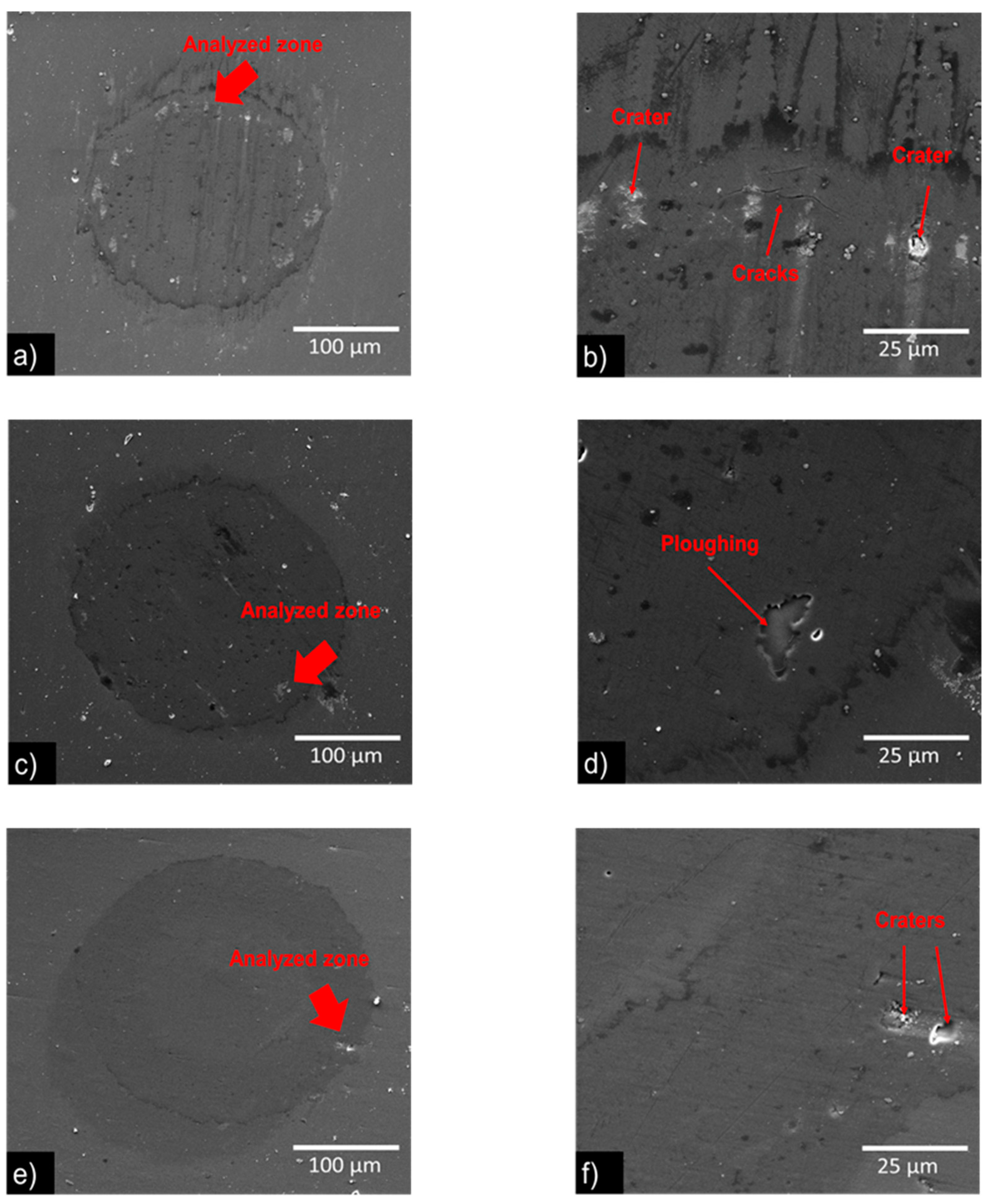 Coatings 13 01344 g007