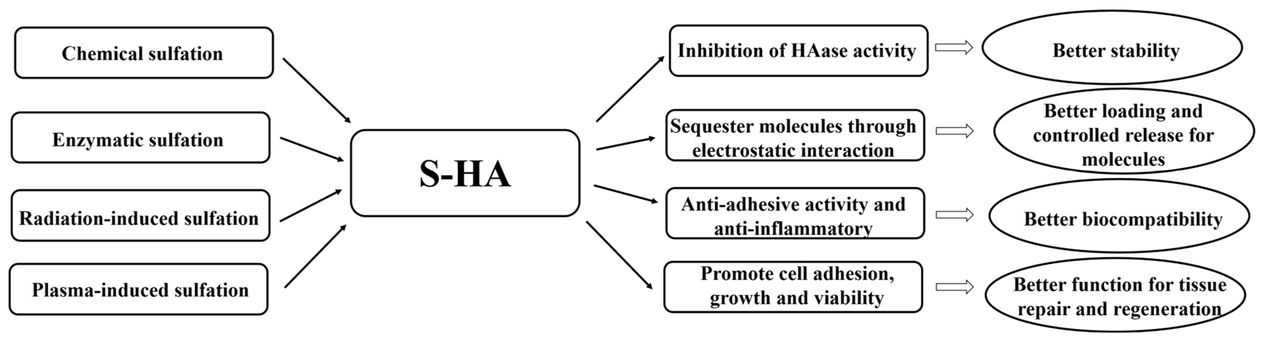 Coatings 13 01345 g001 Coatings 13 01345 g001