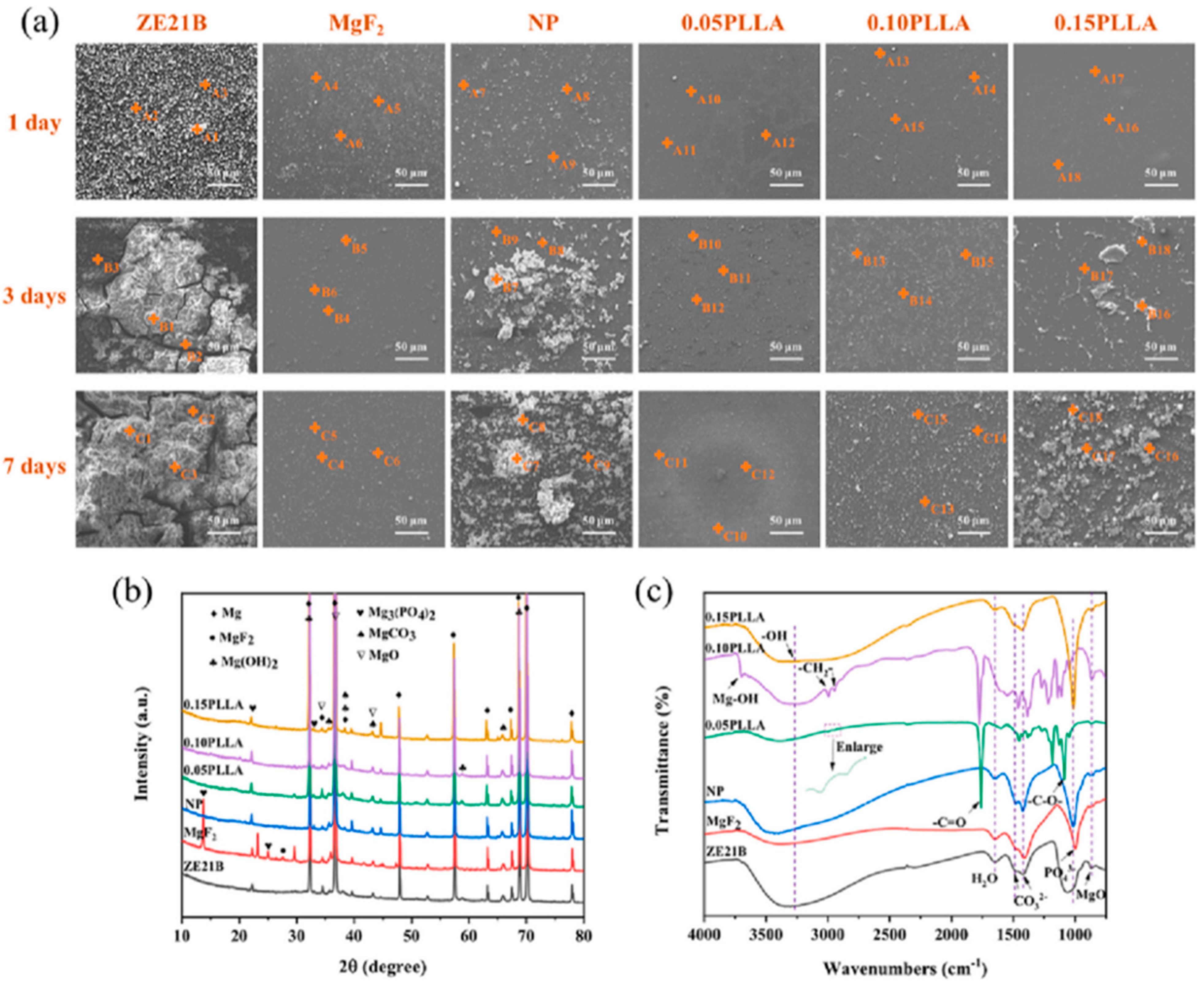 Coatings 13 01345 g007 Coatings 13 01345 g007
