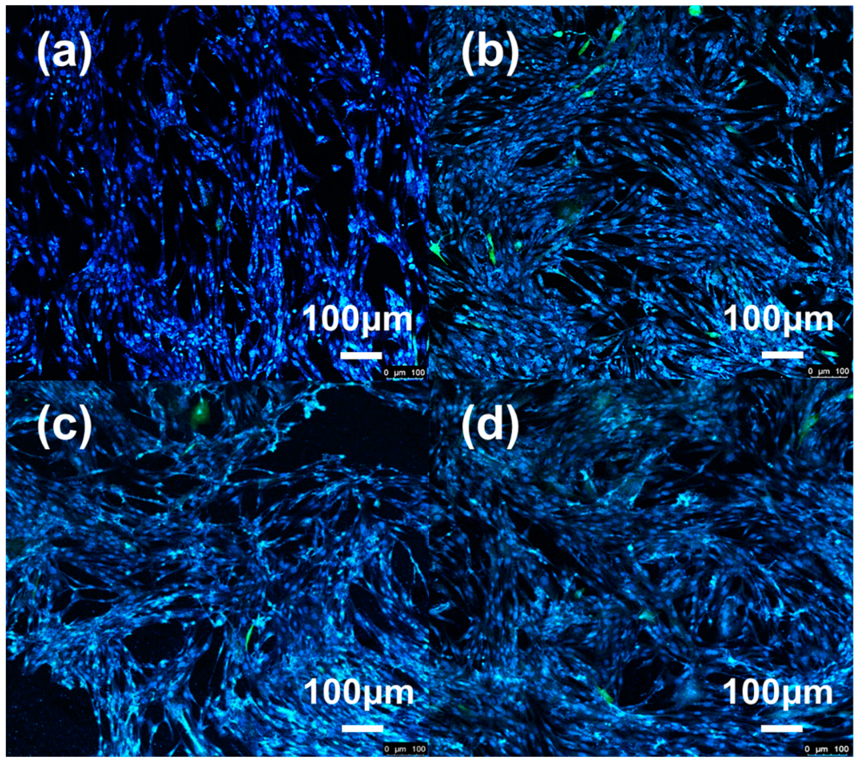 Coatings 13 01346 g015 Coatings 13 01346 g015
