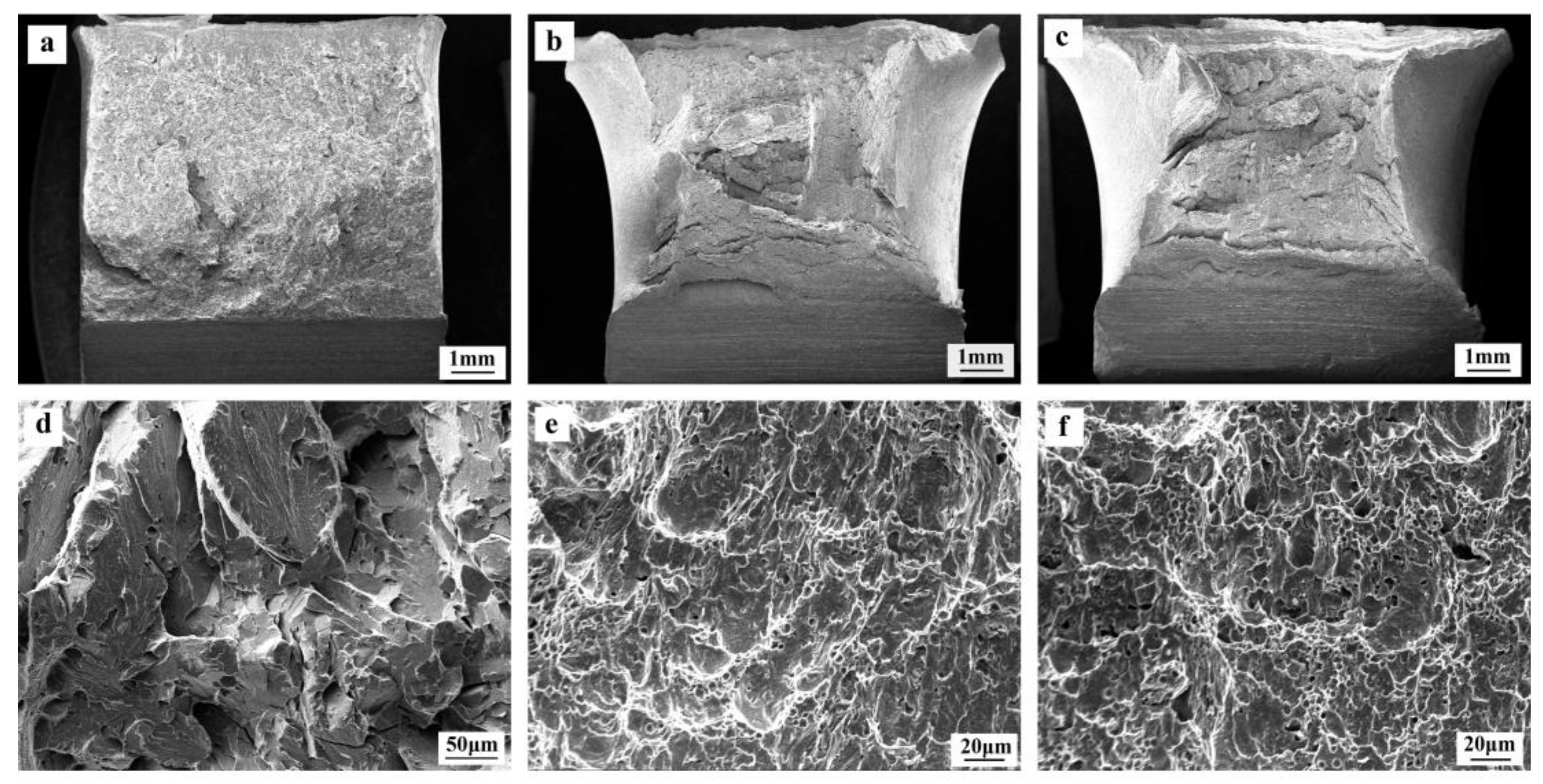 Coatings 13 01347 g008 Coatings 13 01347 g008