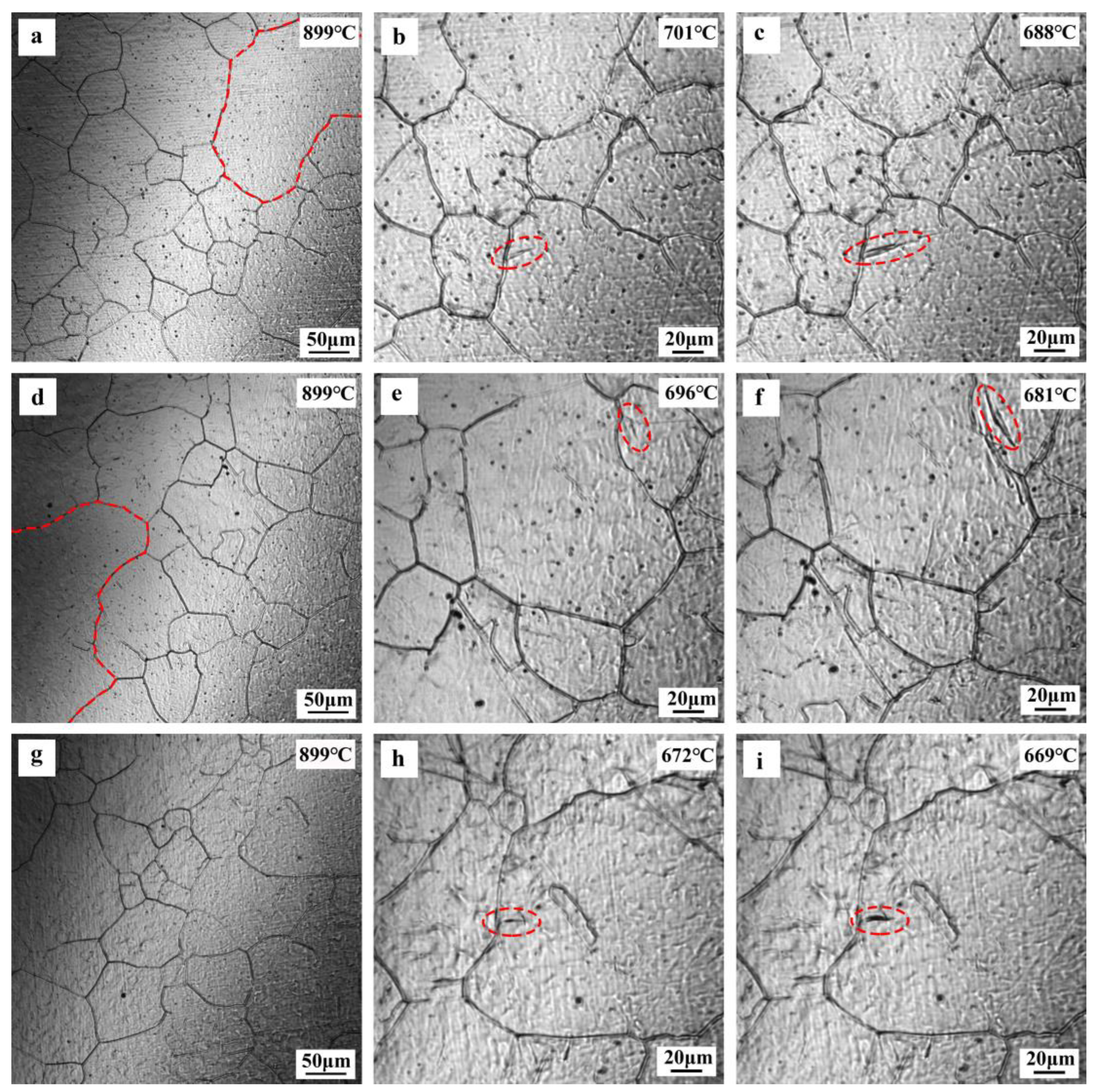 Coatings 13 01347 g009 Coatings 13 01347 g009