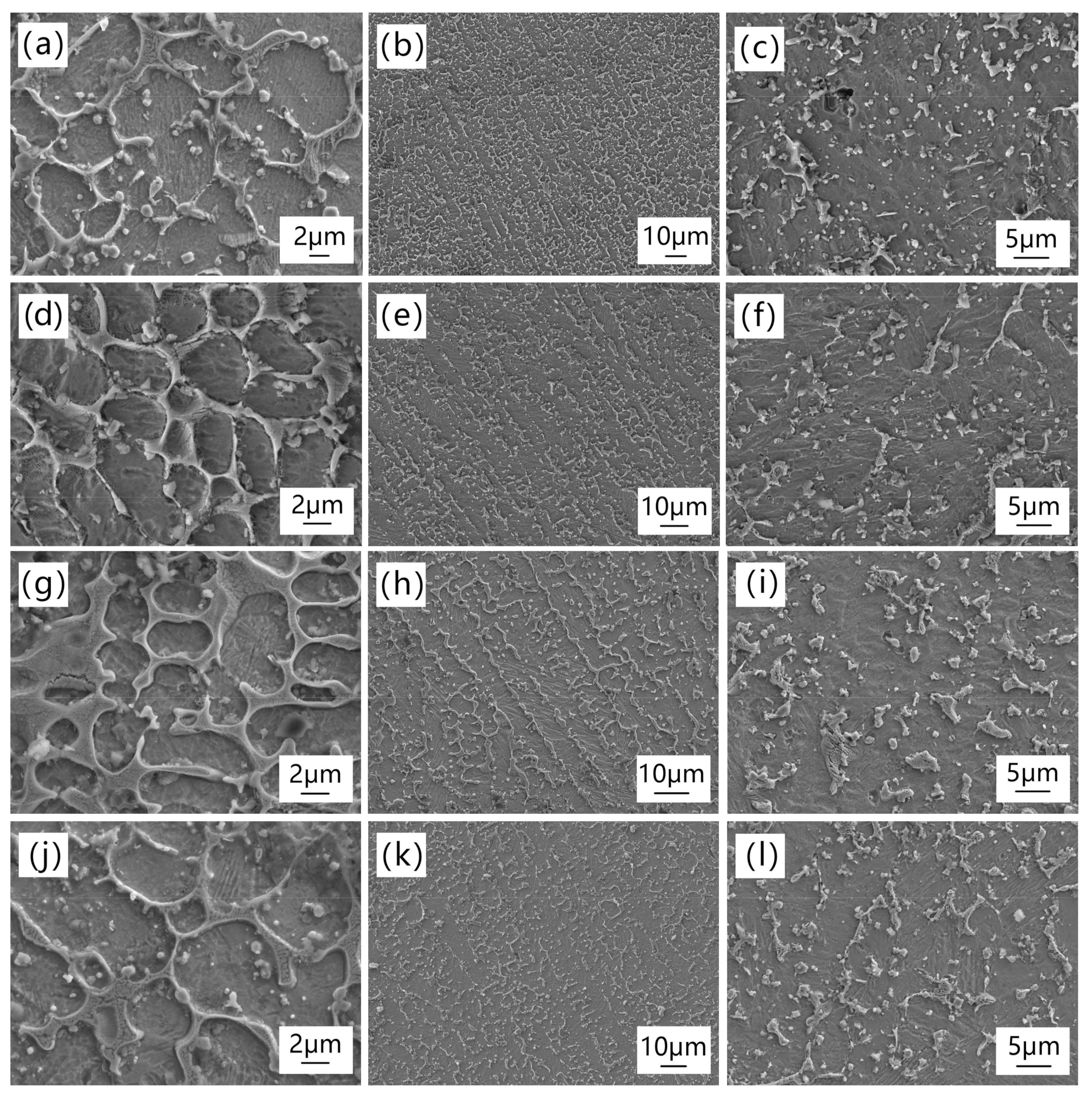 Coatings 13 01348 g003 Coatings 13 01348 g003