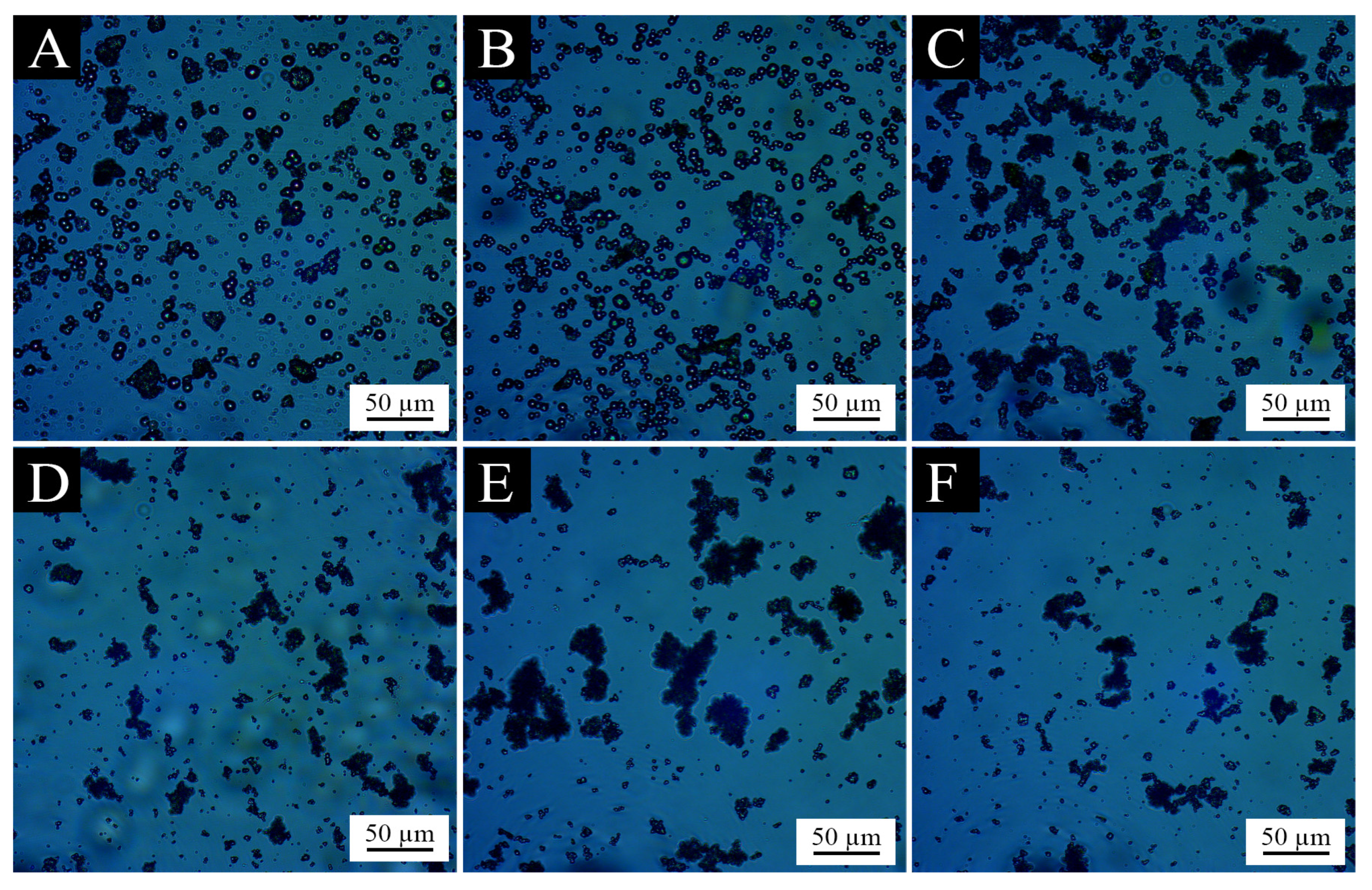 Coatings 13 01355 g002