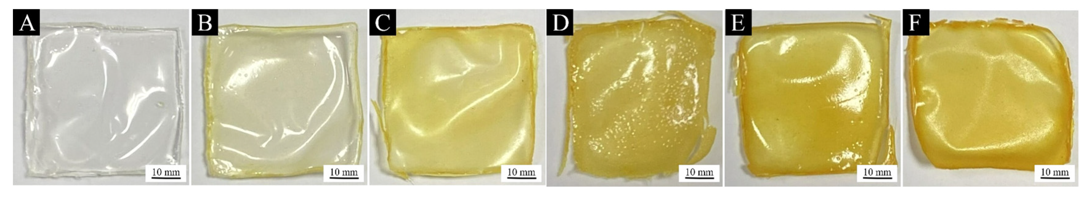 Coatings 13 01355 g006
