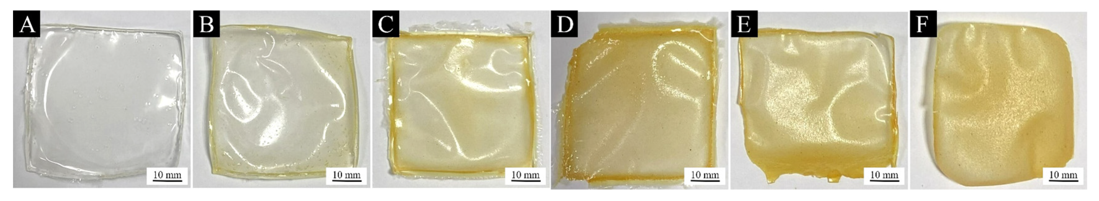 Coatings 13 01355 g007