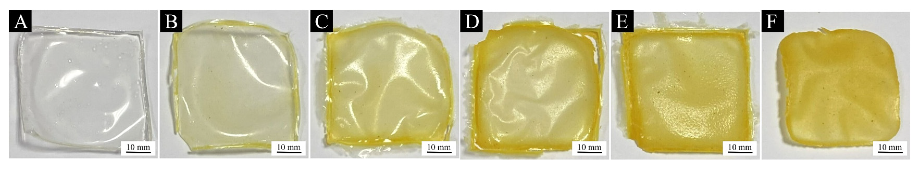 Coatings 13 01355 g008