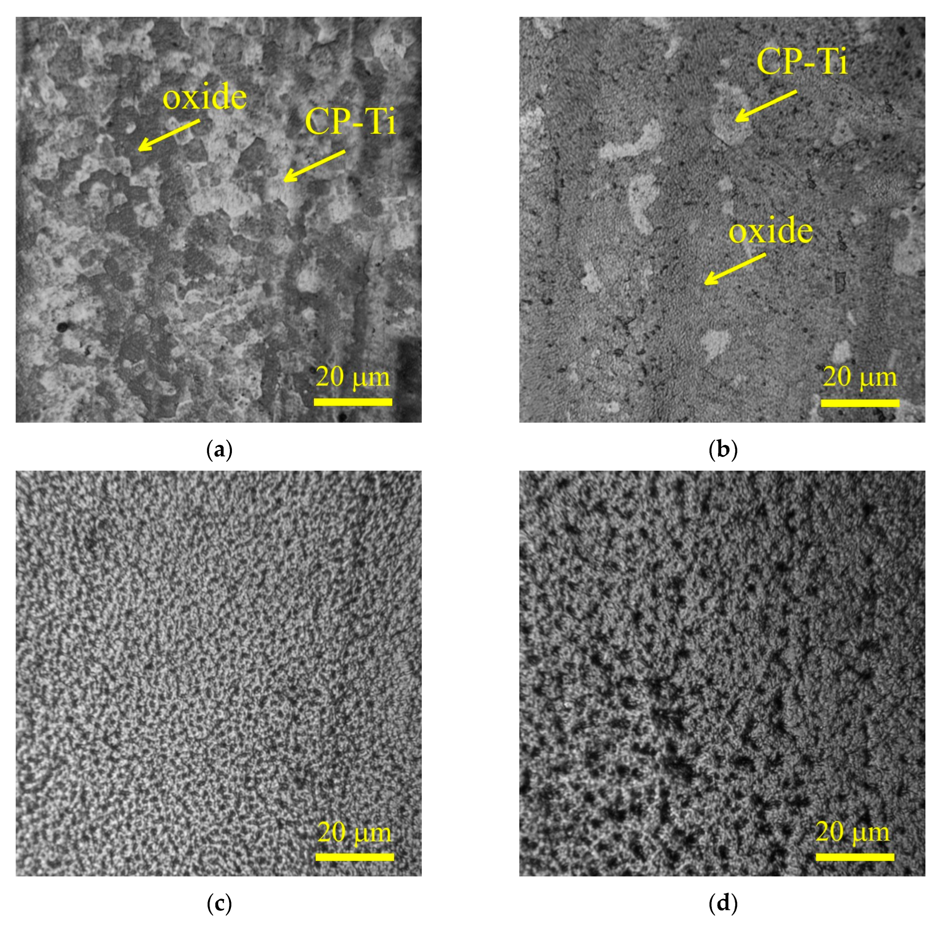 Coatings 13 01363 g004
