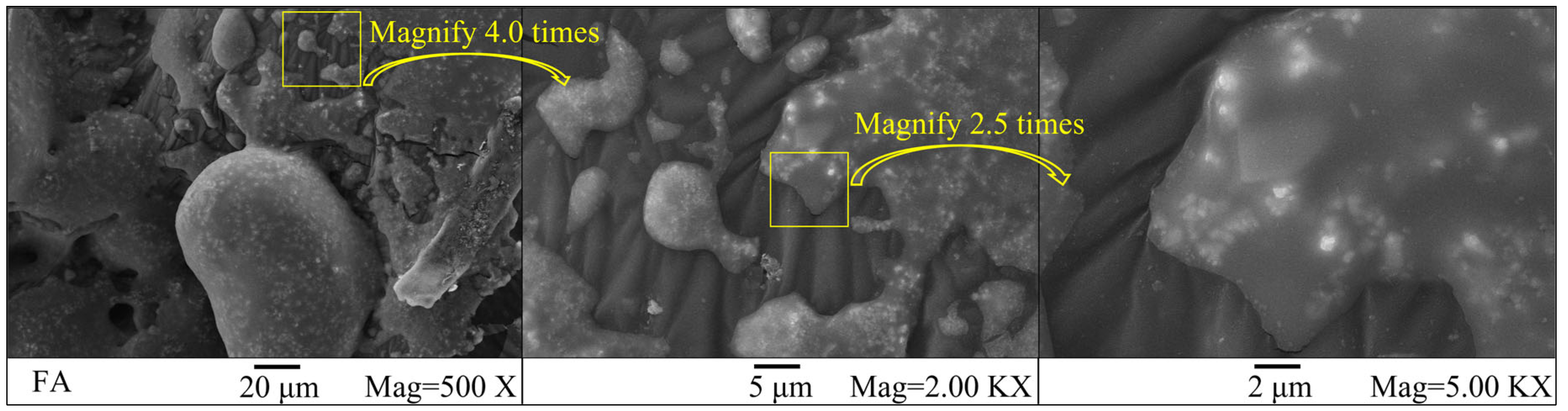 Coatings 13 01366 g005