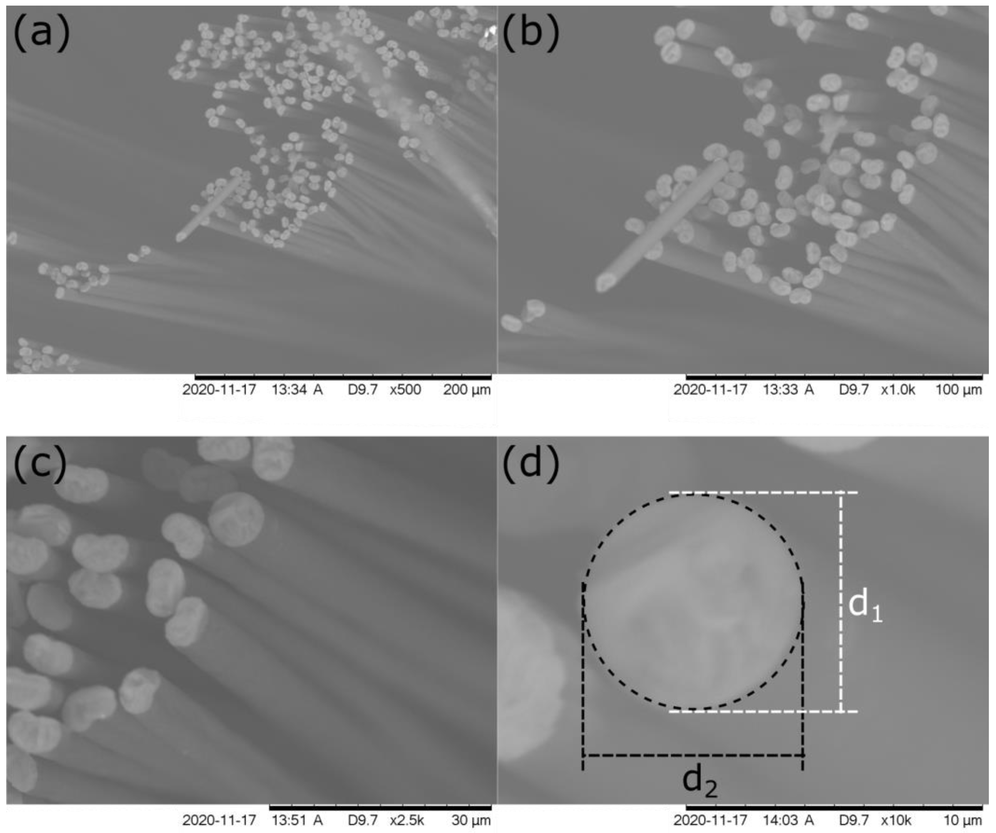 Coatings 13 01372 g002
