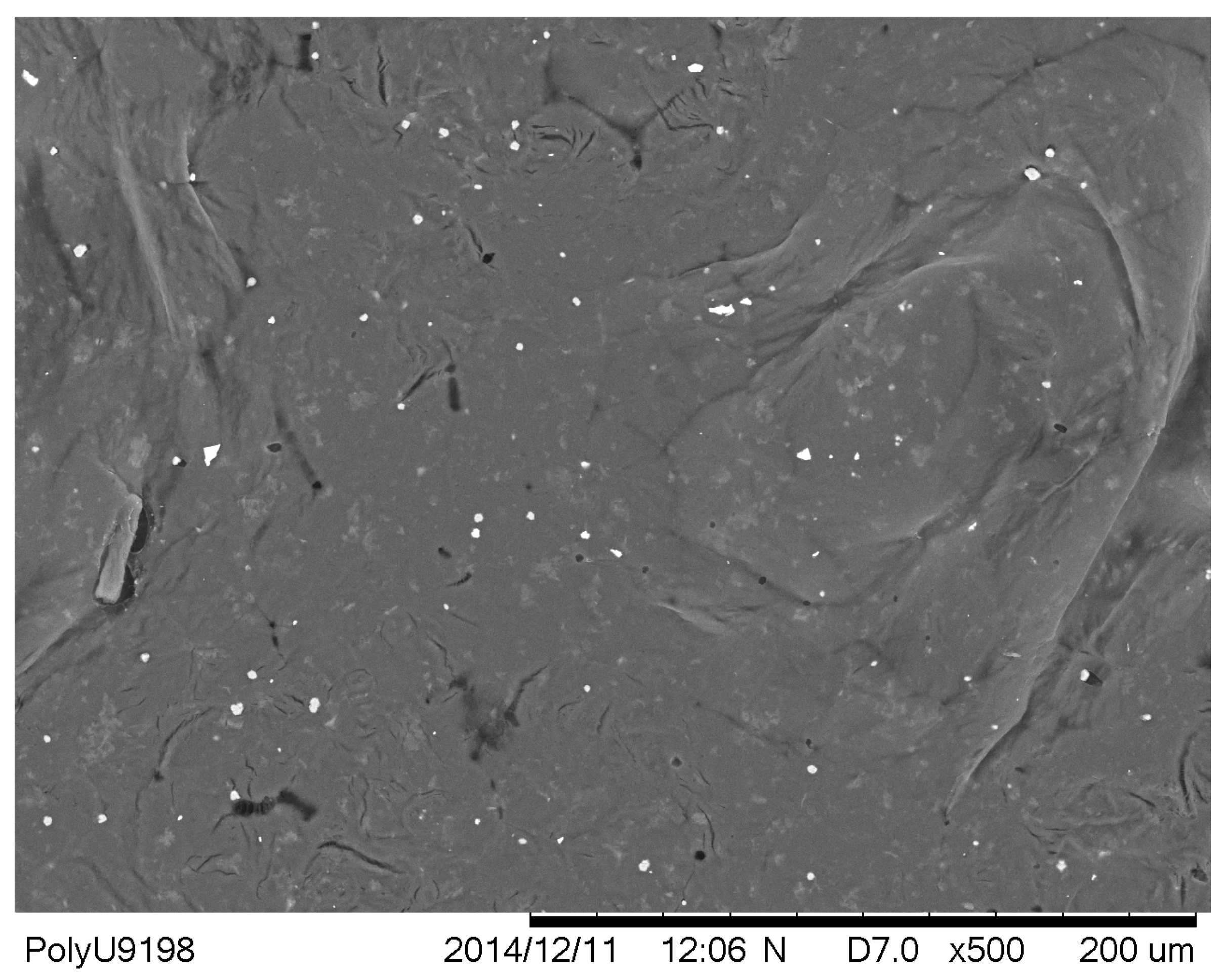 Coatings 13 01373 g005