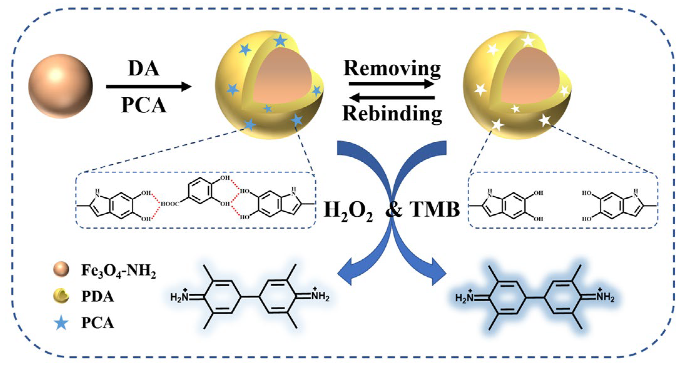 Coatings 13 01374 g001 Coatings 13 01374 g001