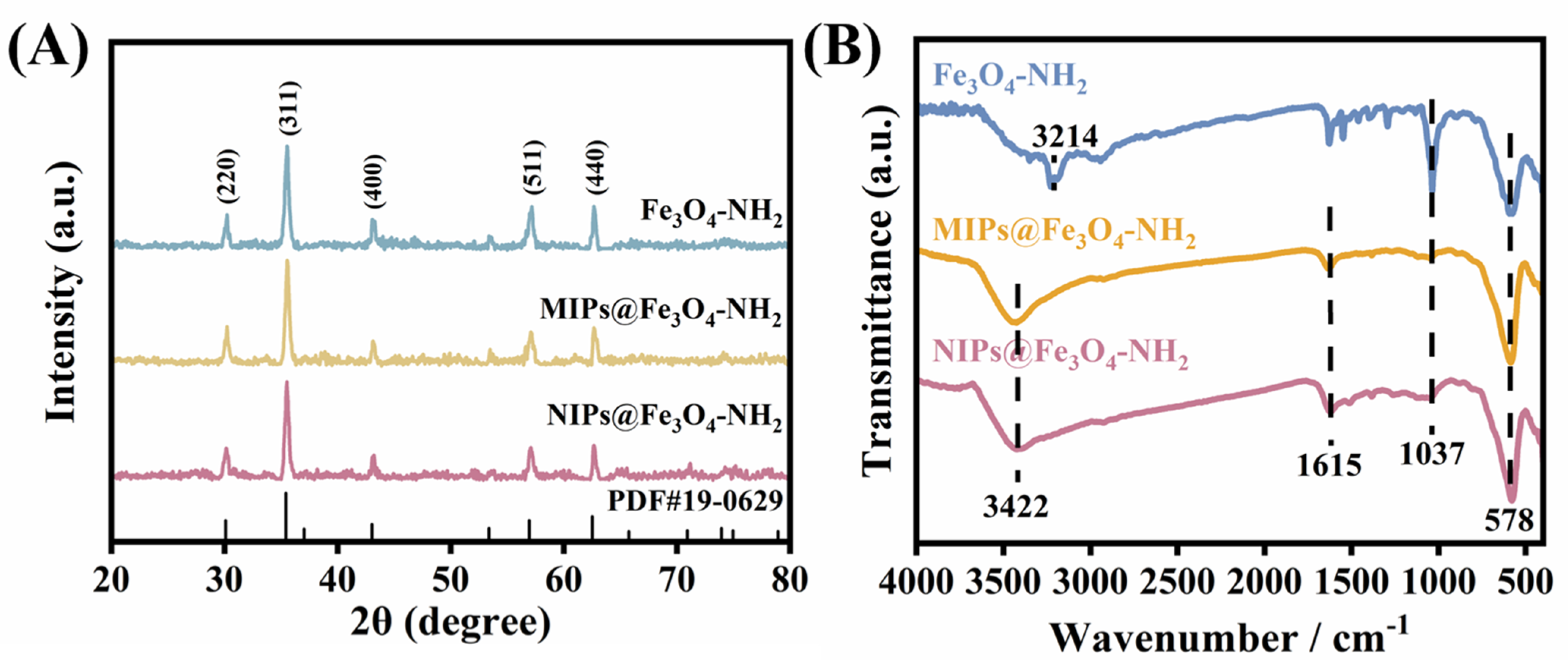 Coatings 13 01374 g003 Coatings 13 01374 g003