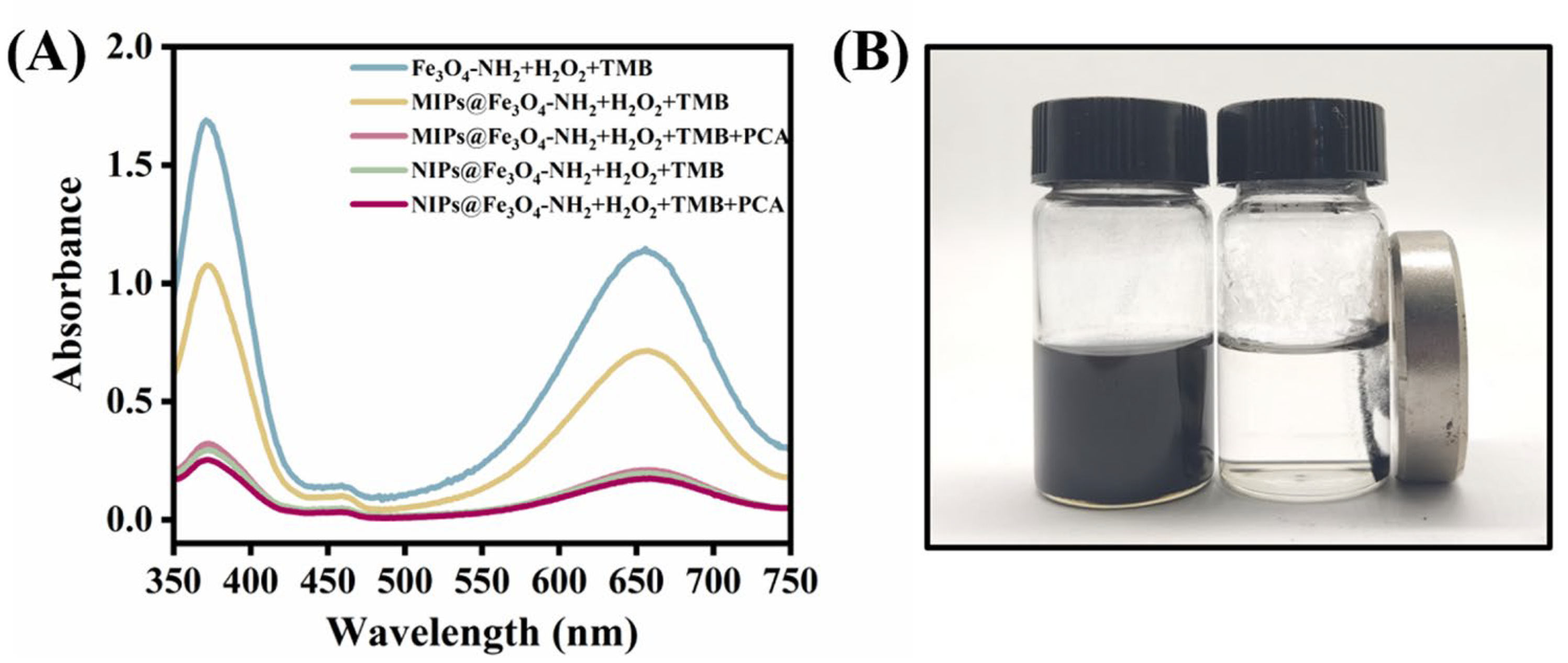 Coatings 13 01374 g004 Coatings 13 01374 g004