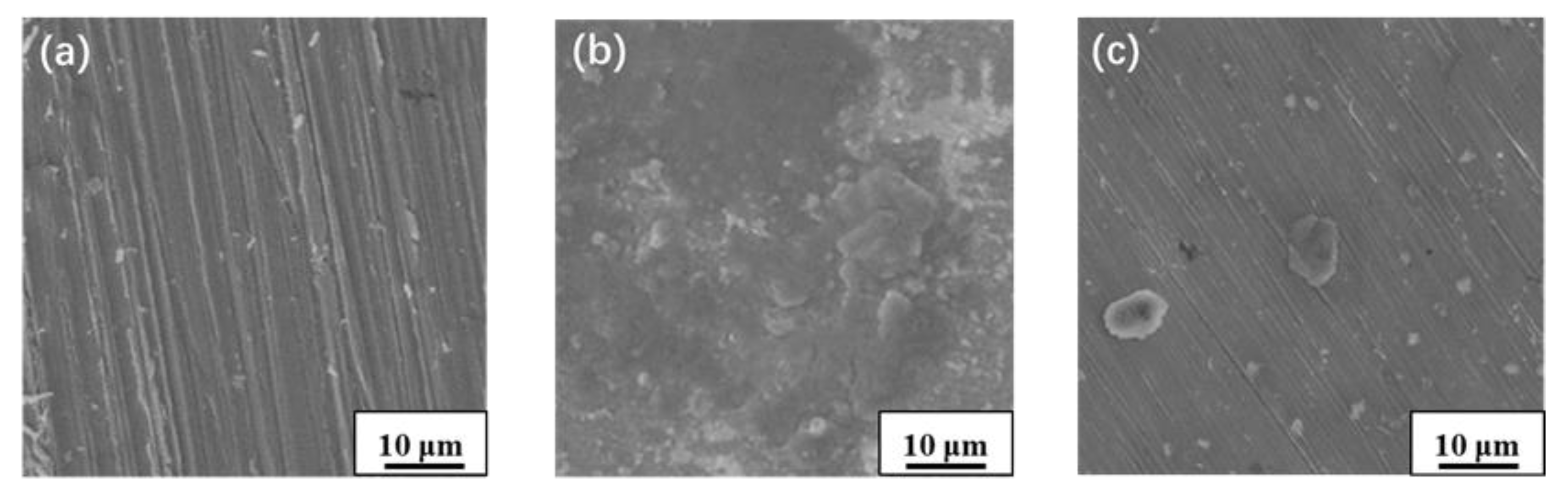 Coatings 13 01375 g002 Coatings 13 01375 g002