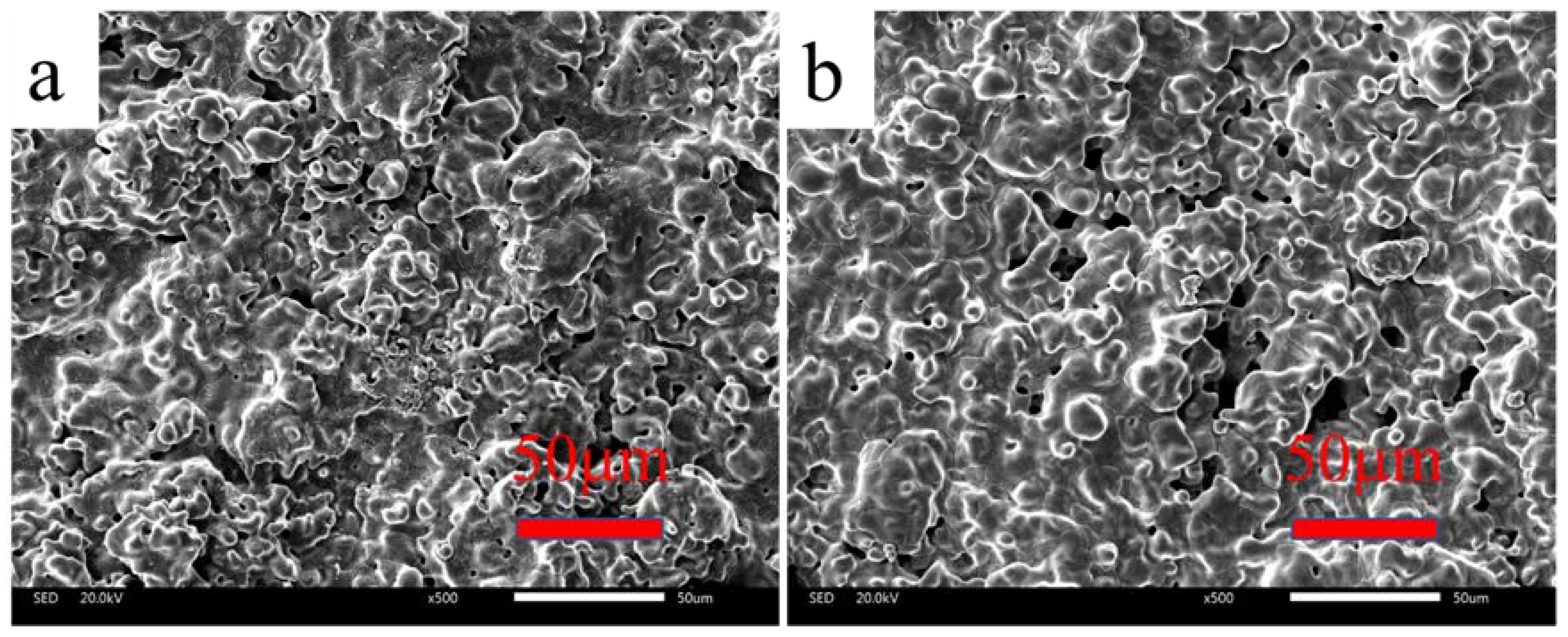 Coatings 13 01386 g009